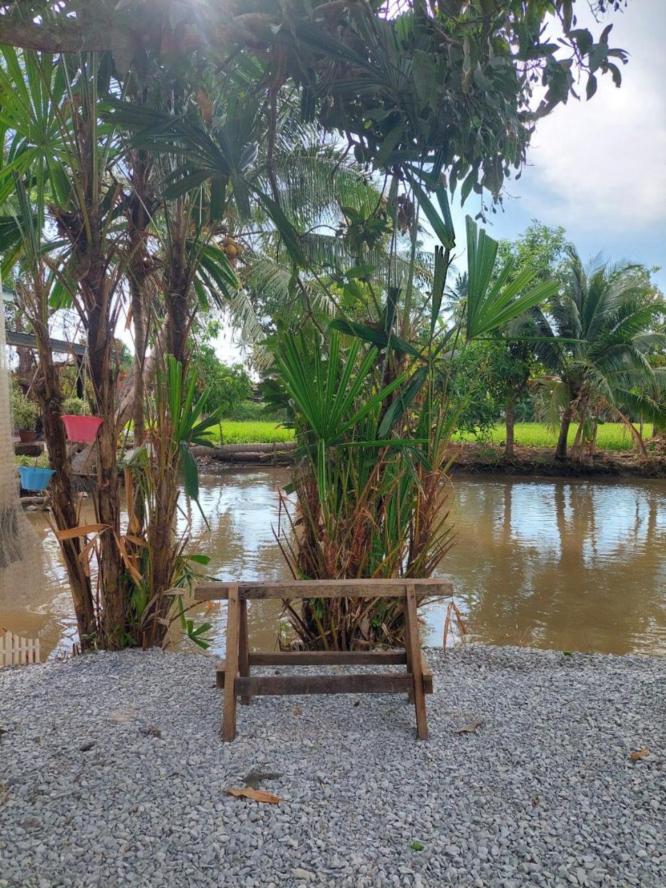 Pink Homestay D'Perlis