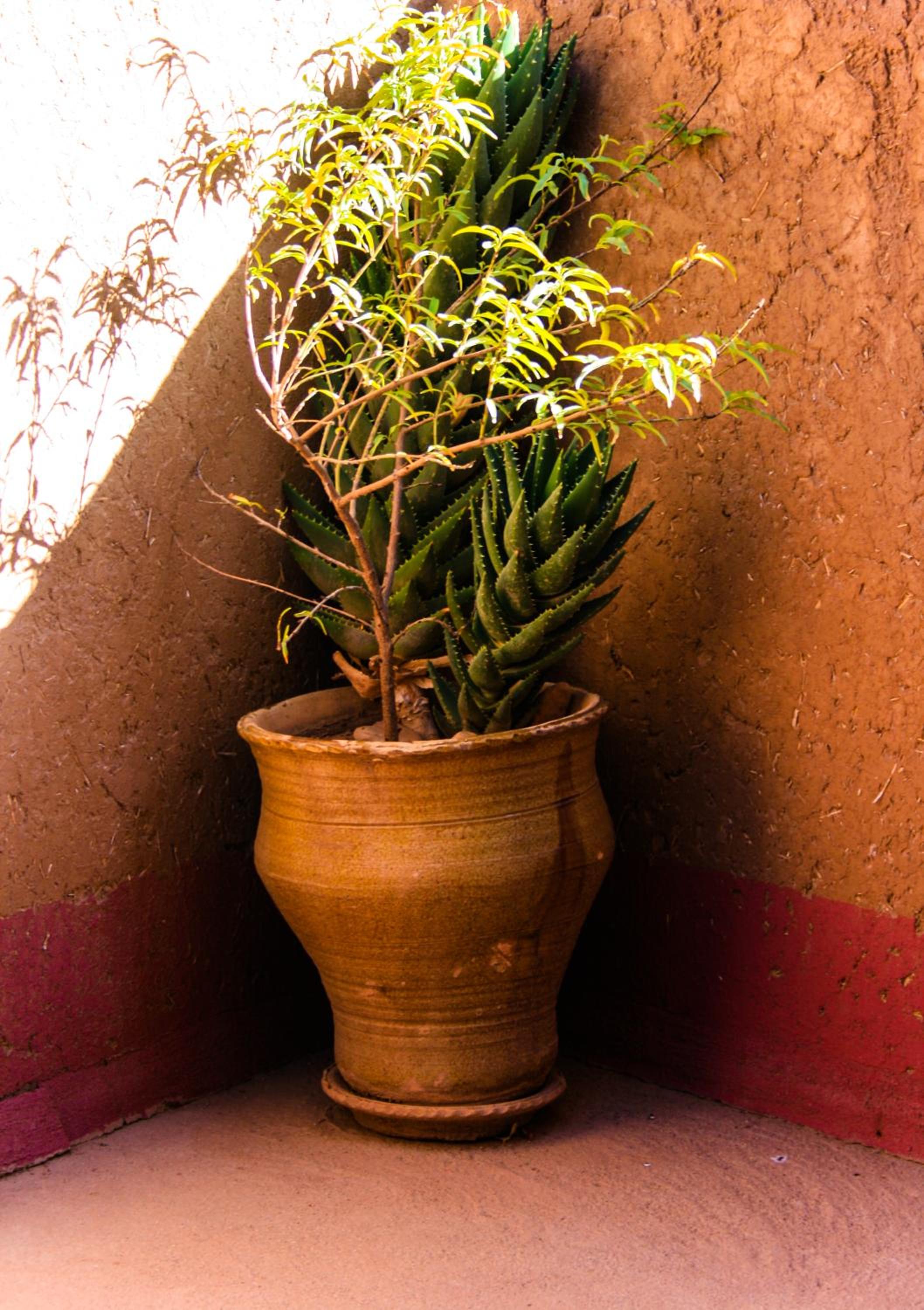 Kasbah Maison D’hôte Lalla Zahra