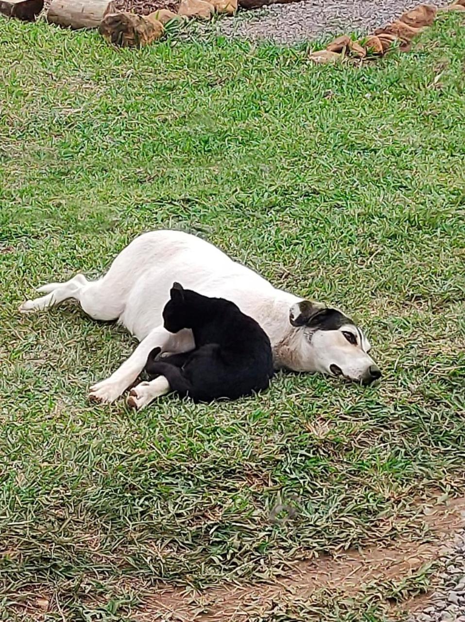 HOSPEDAGEM LA NO SITIO