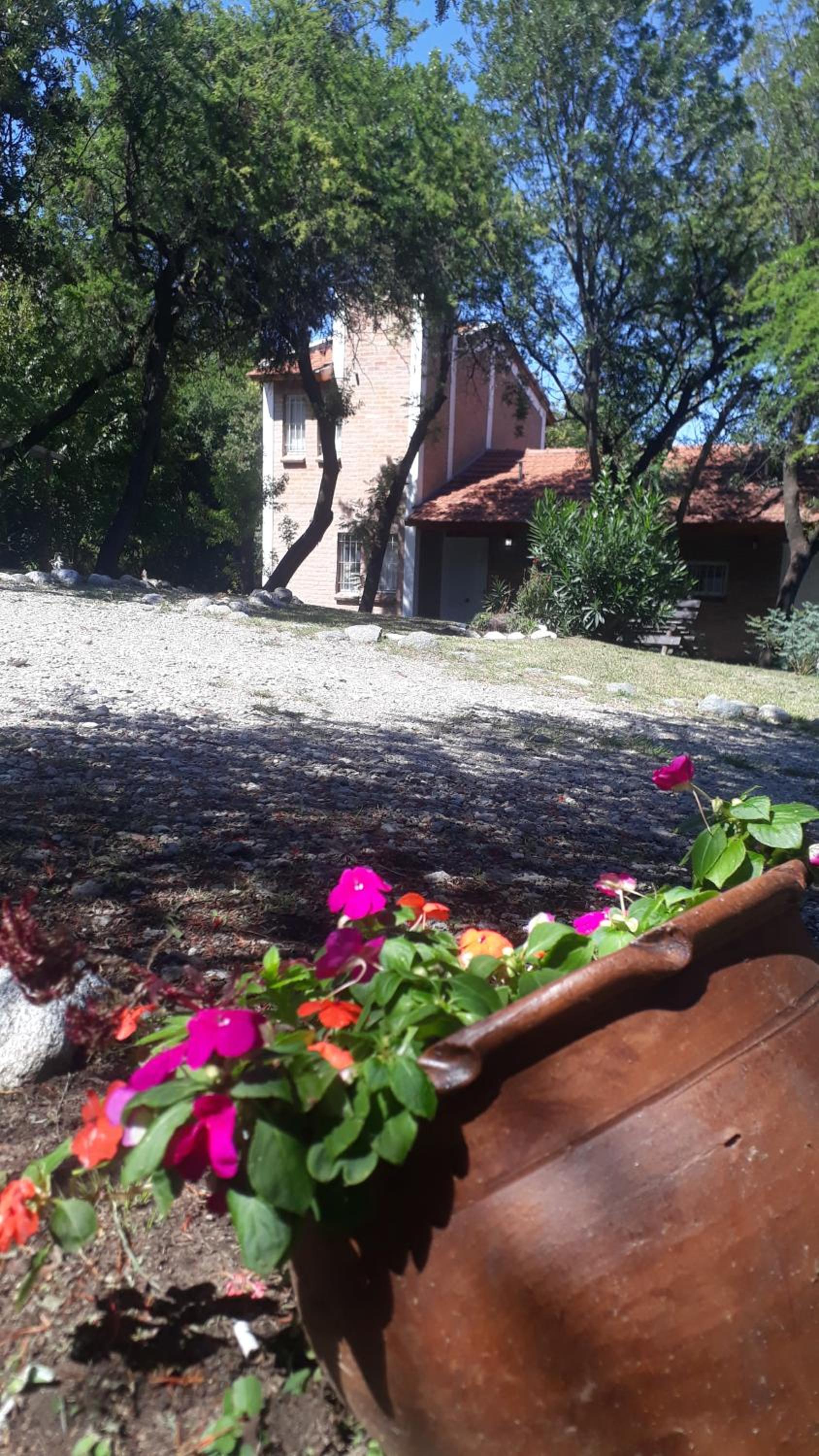 Cabañas del bosque merlo