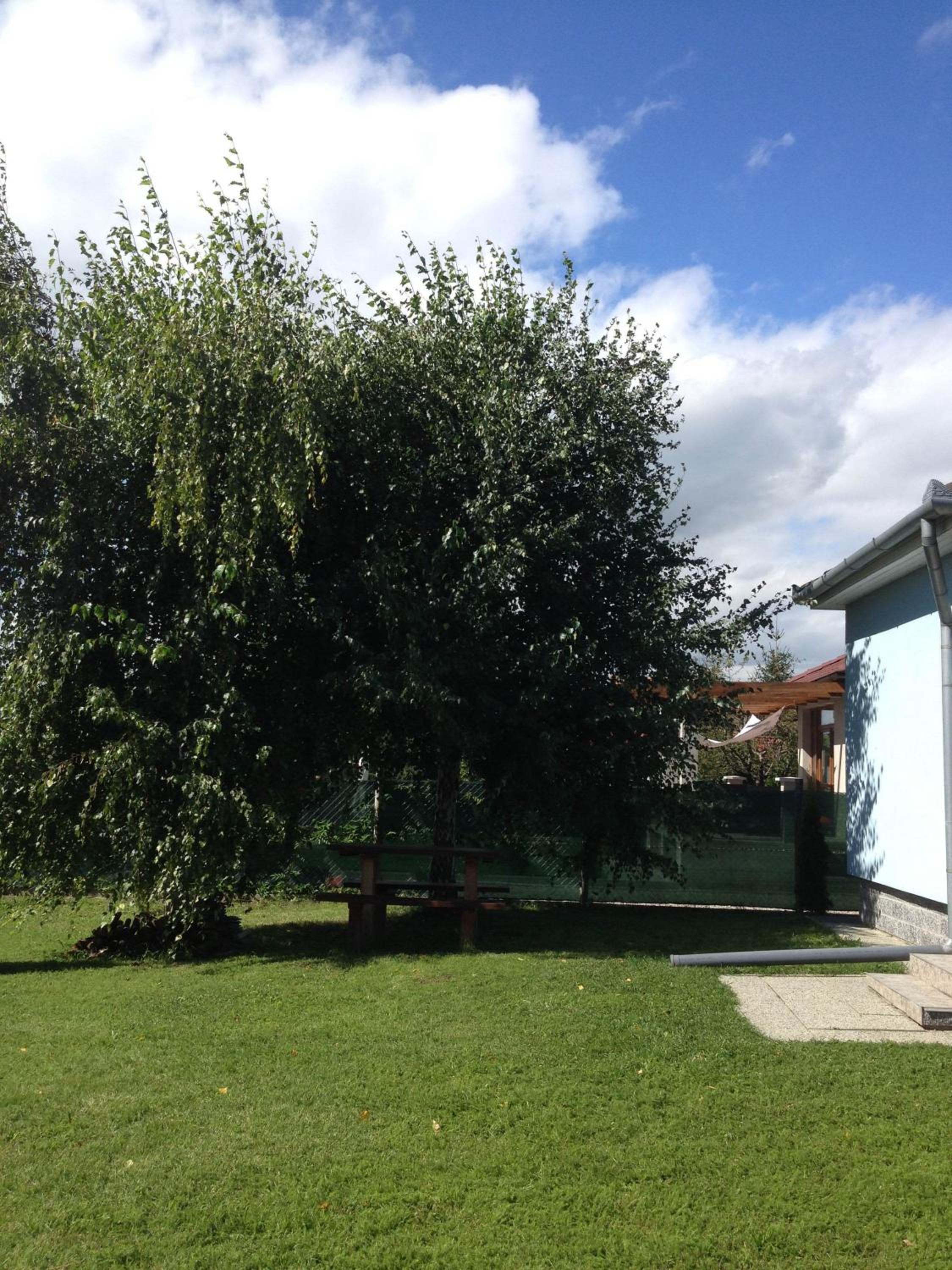 Photo 30