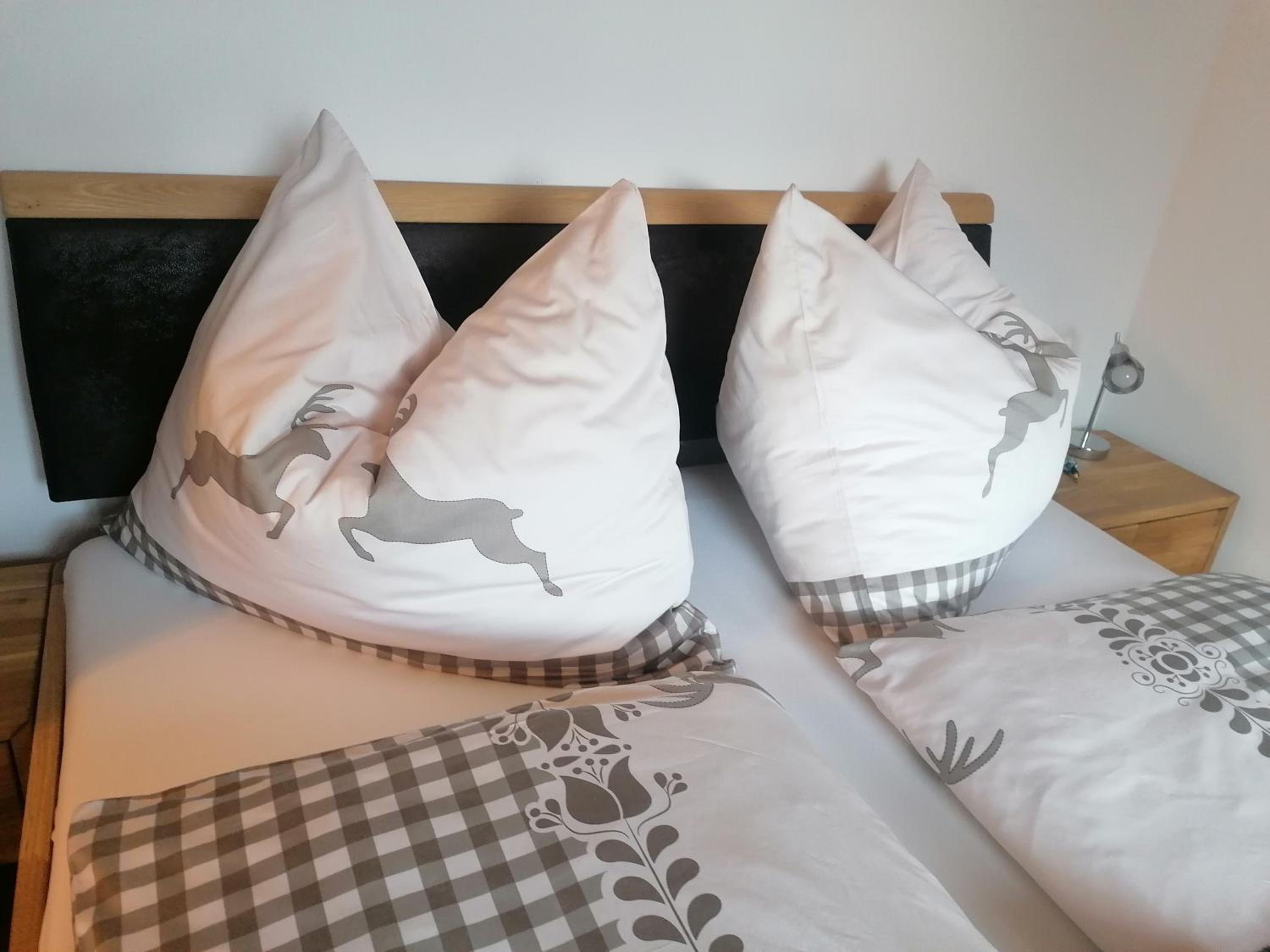 BergAufe Chalets Mallnitz view 5