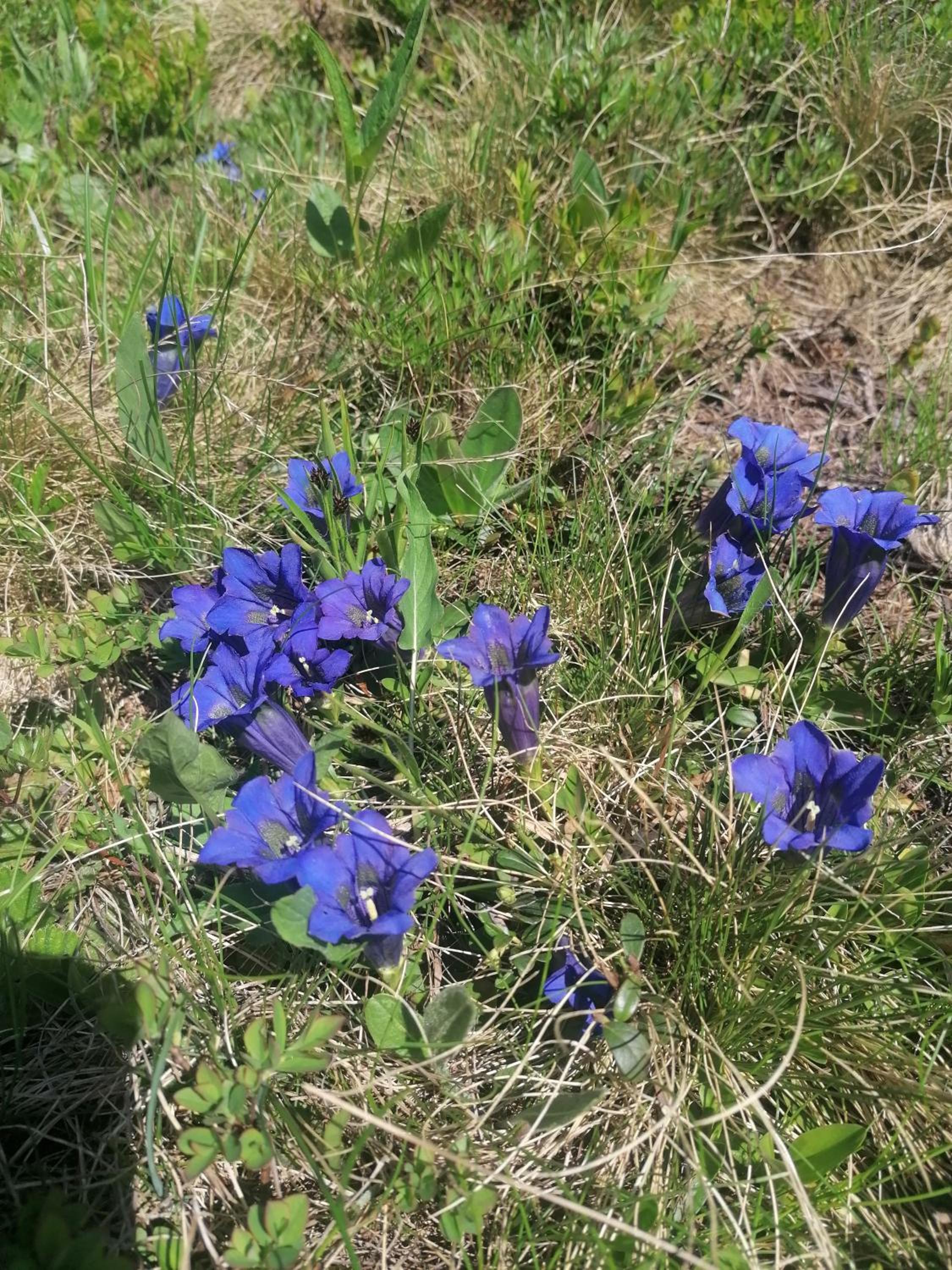 Photo 22