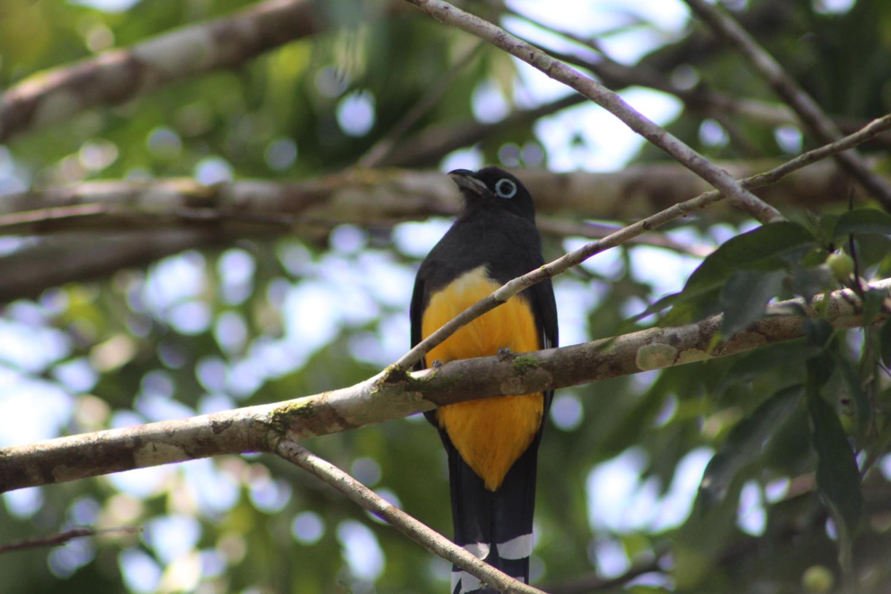 Calico Jack's Resort