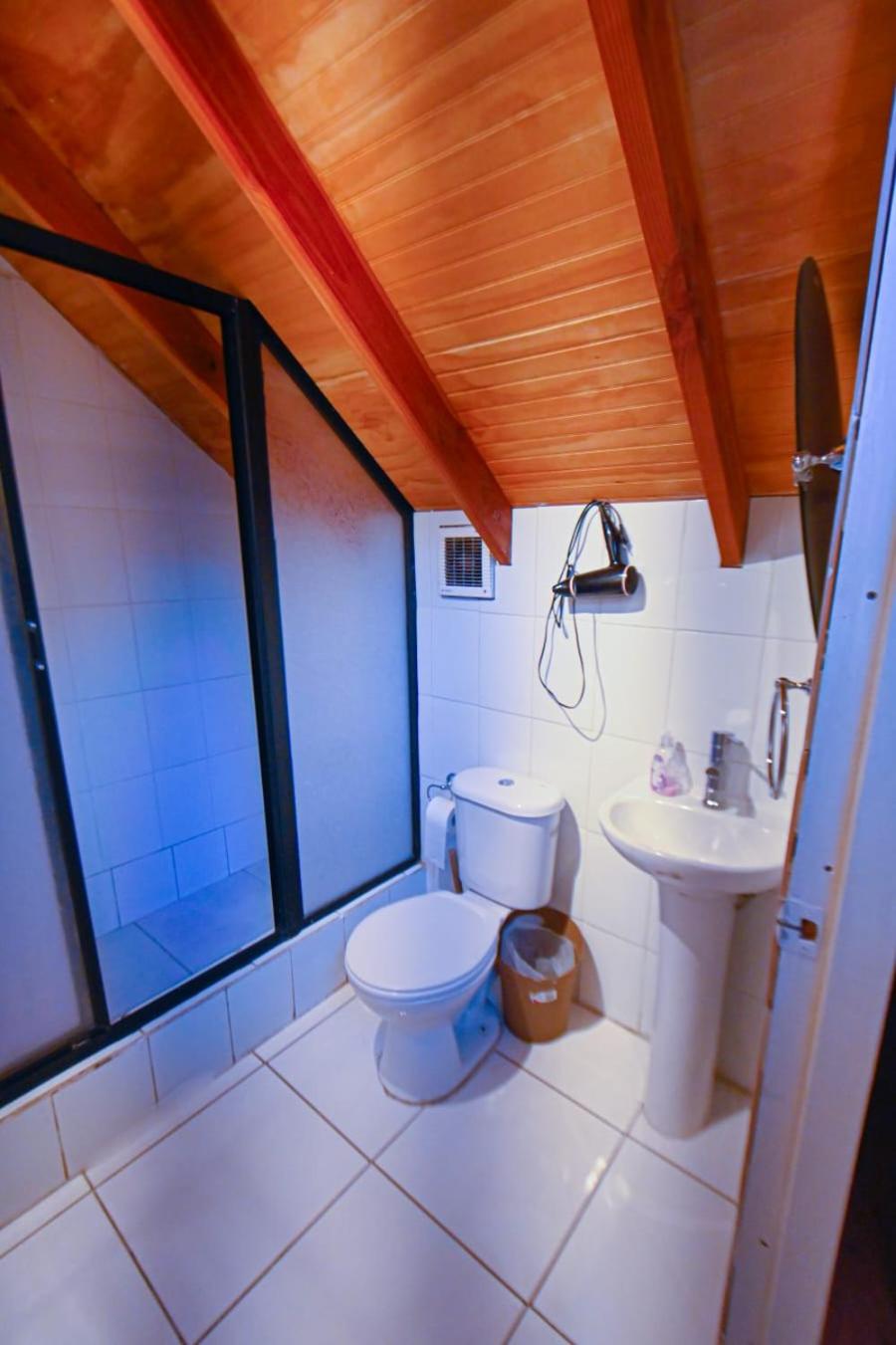 Gecko Hostel