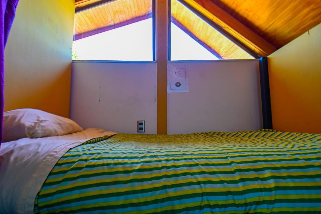 Gecko Hostel