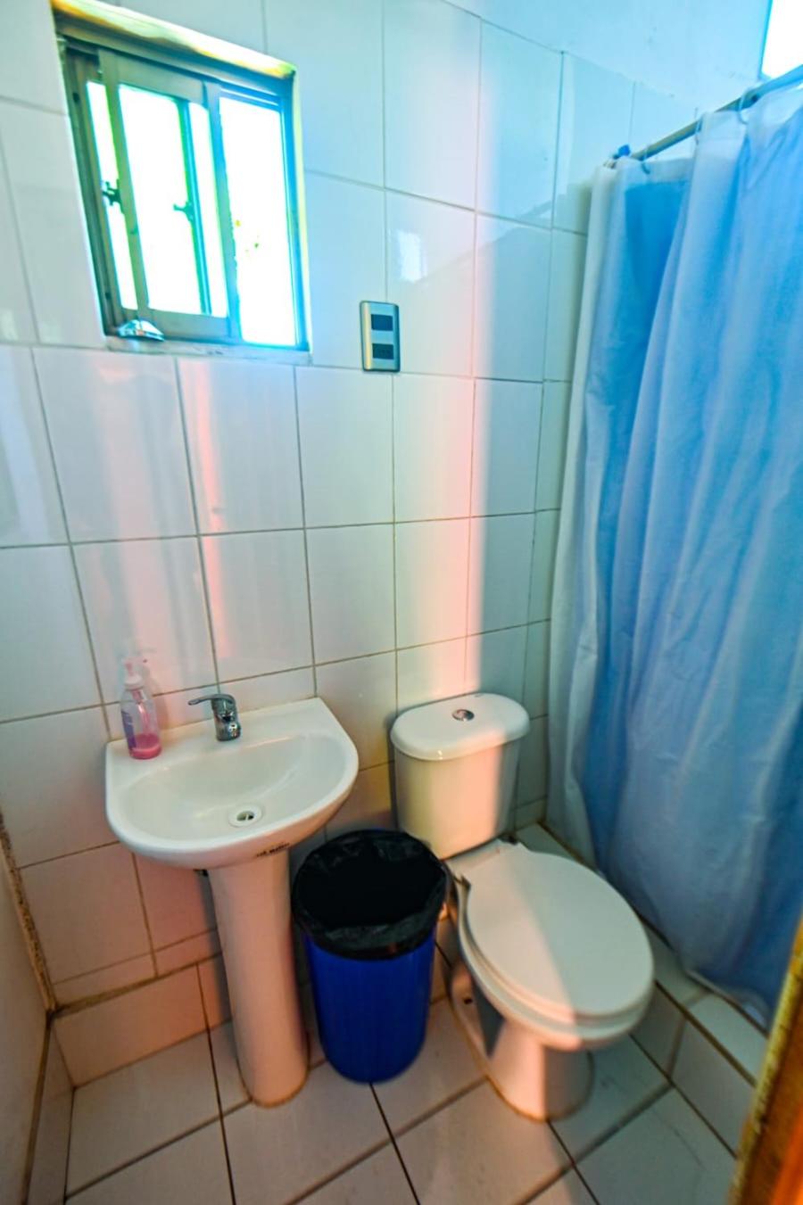 Gecko Hostel