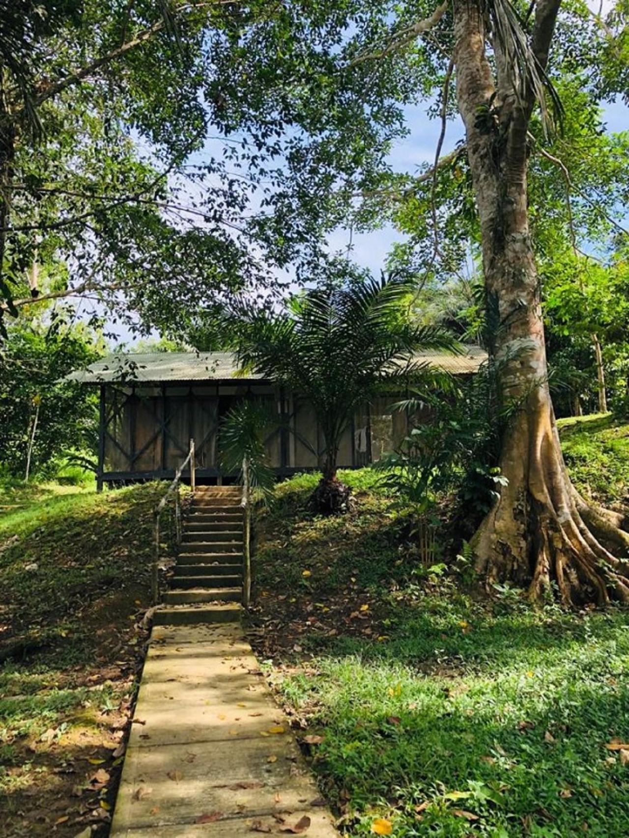 Eco Hotel Aldea -AMAZONAS