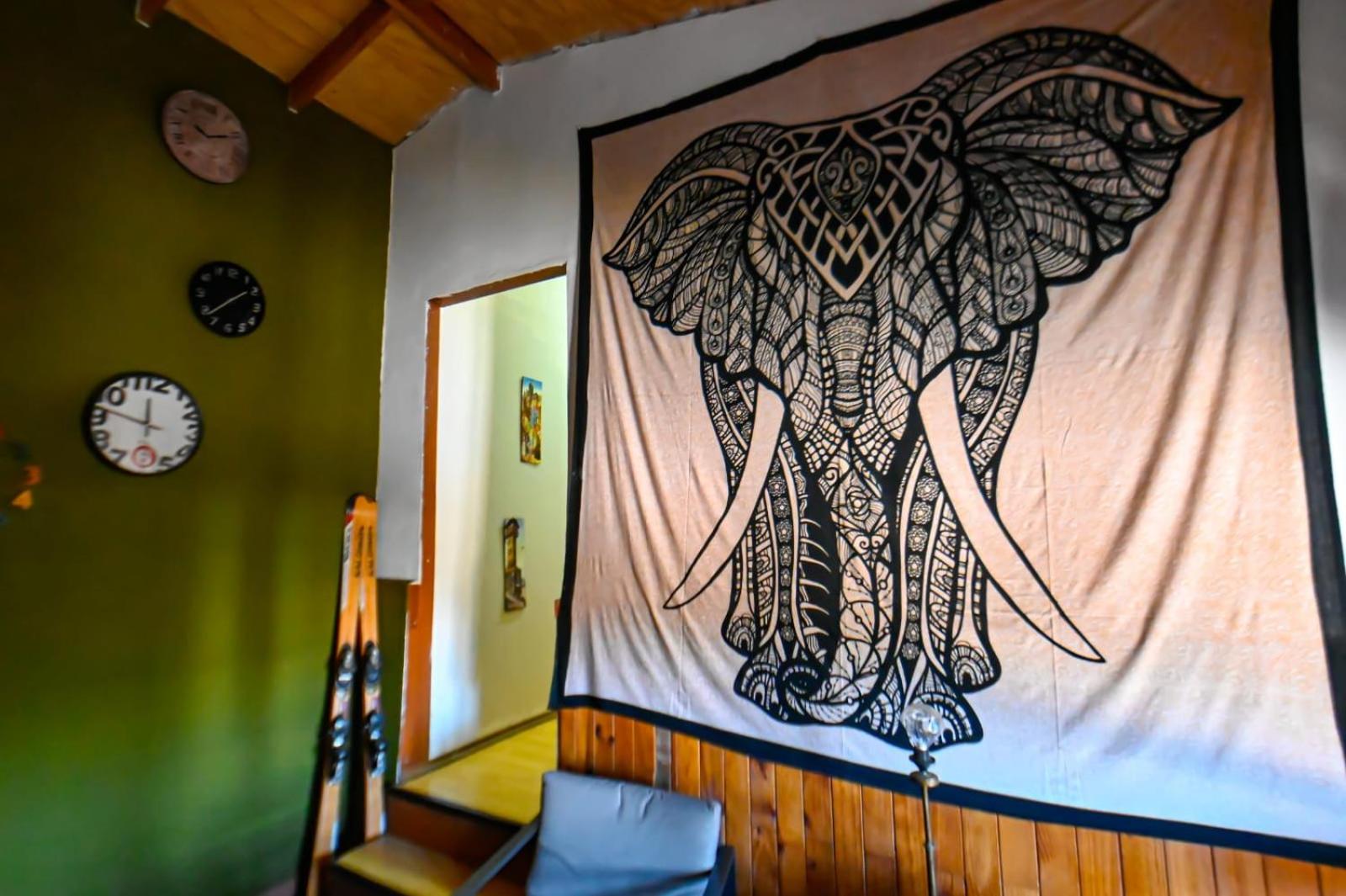 Gecko Hostel, photo 37