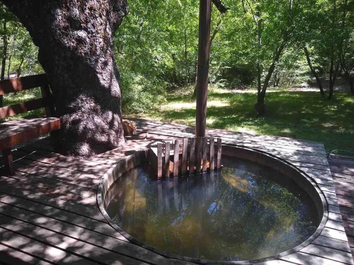 Agradable casa cerca de las termas de Chillan