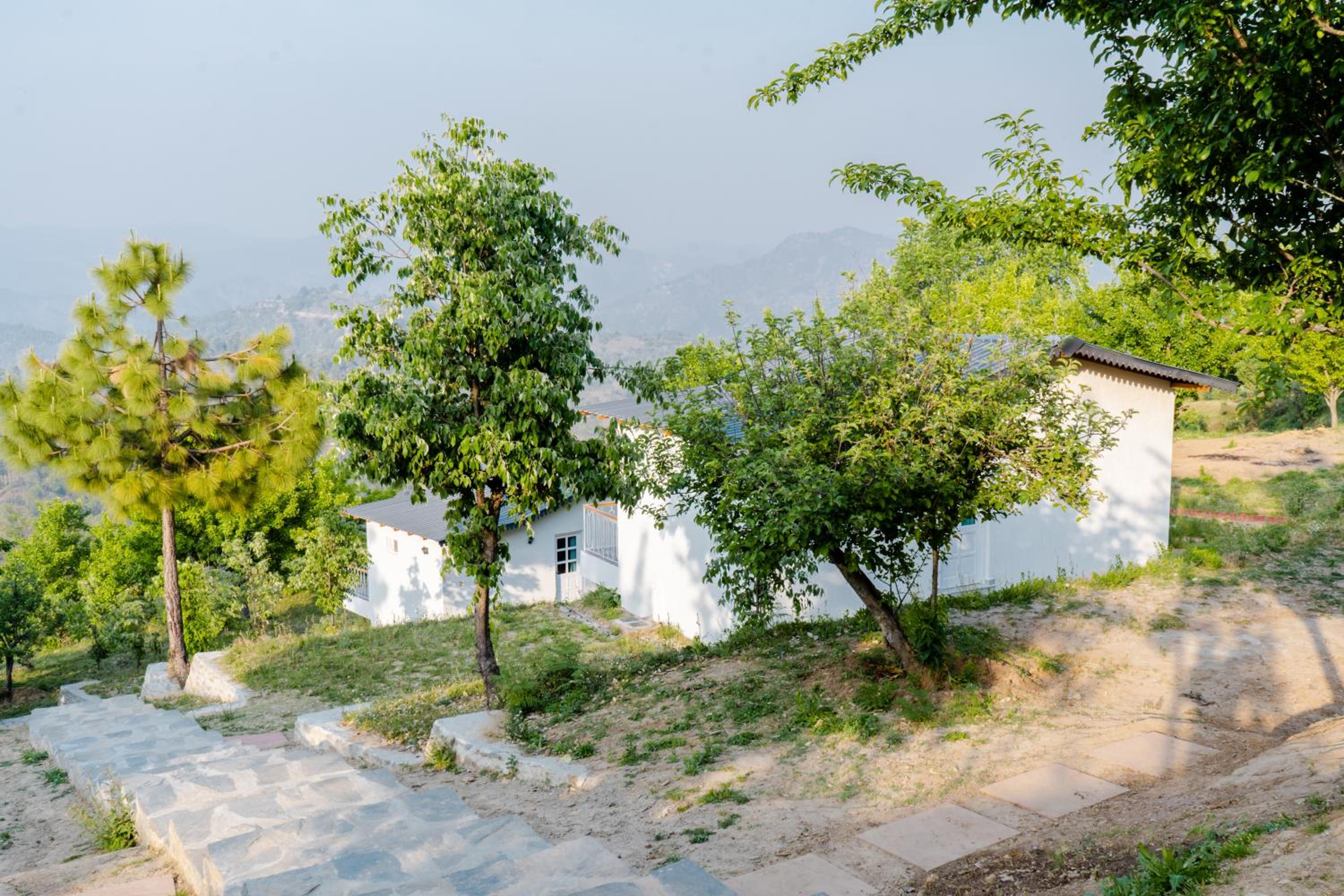 Photo 42