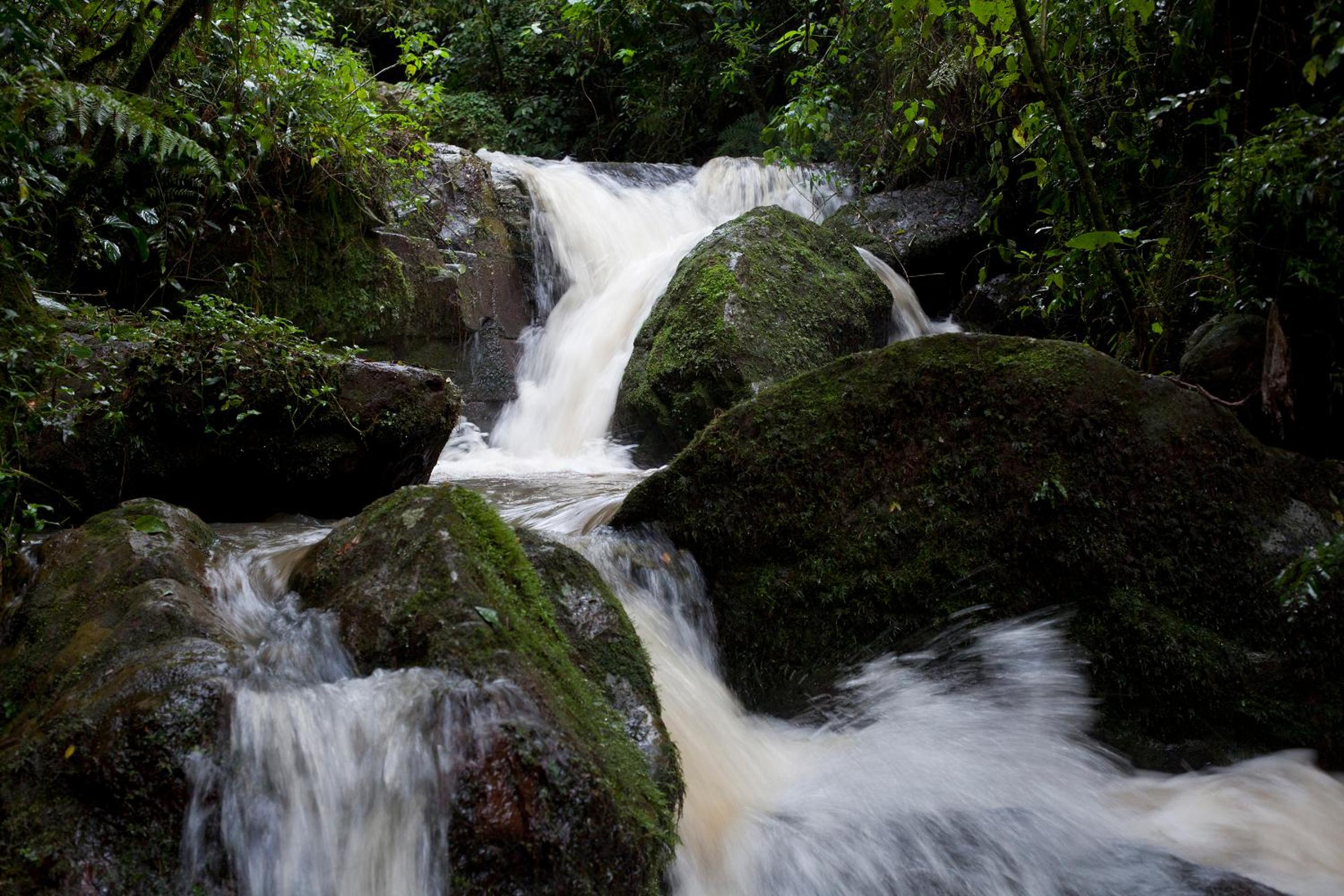 Chacra del Agua Reserva Privada