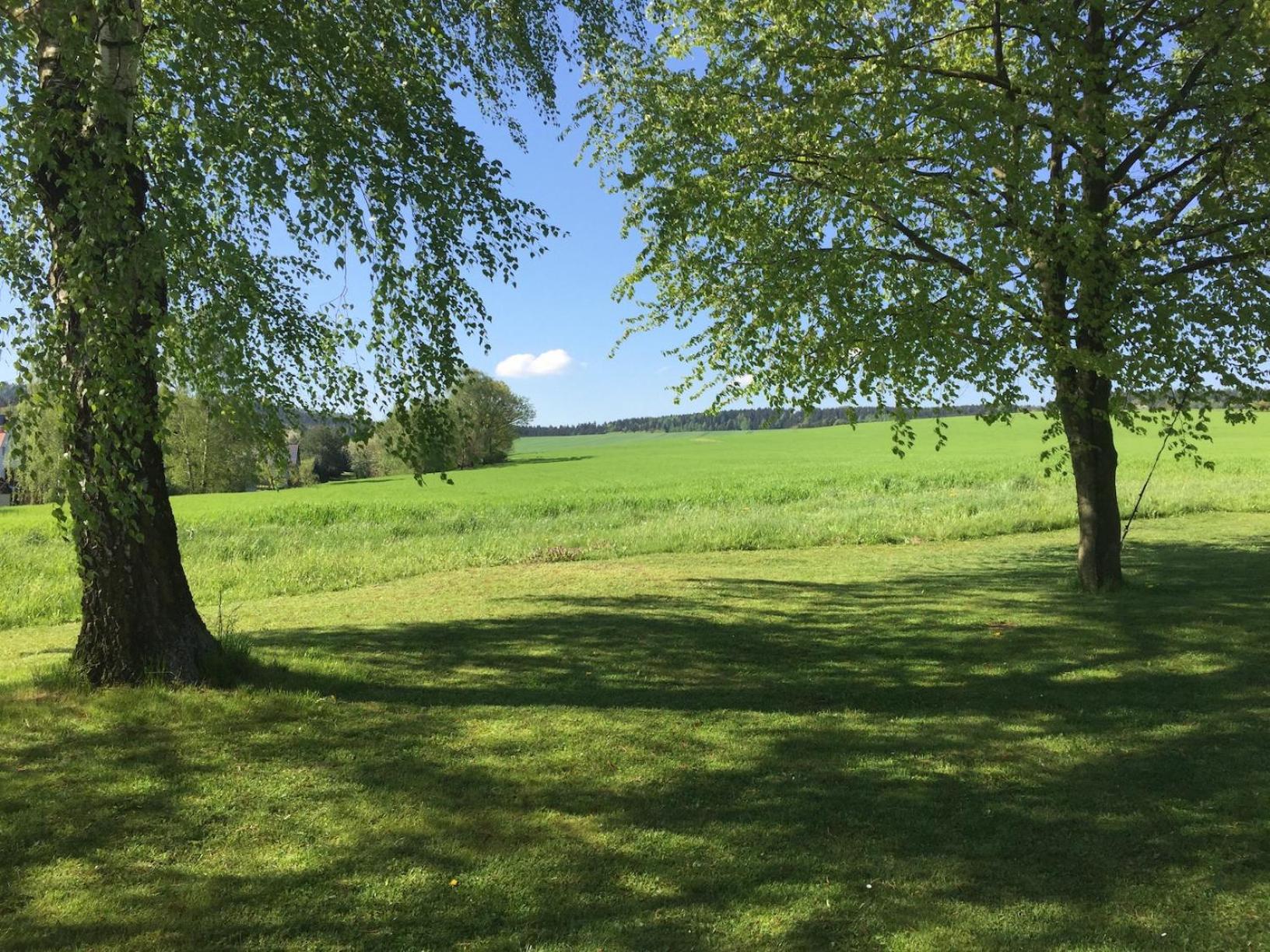 Haflingerstall