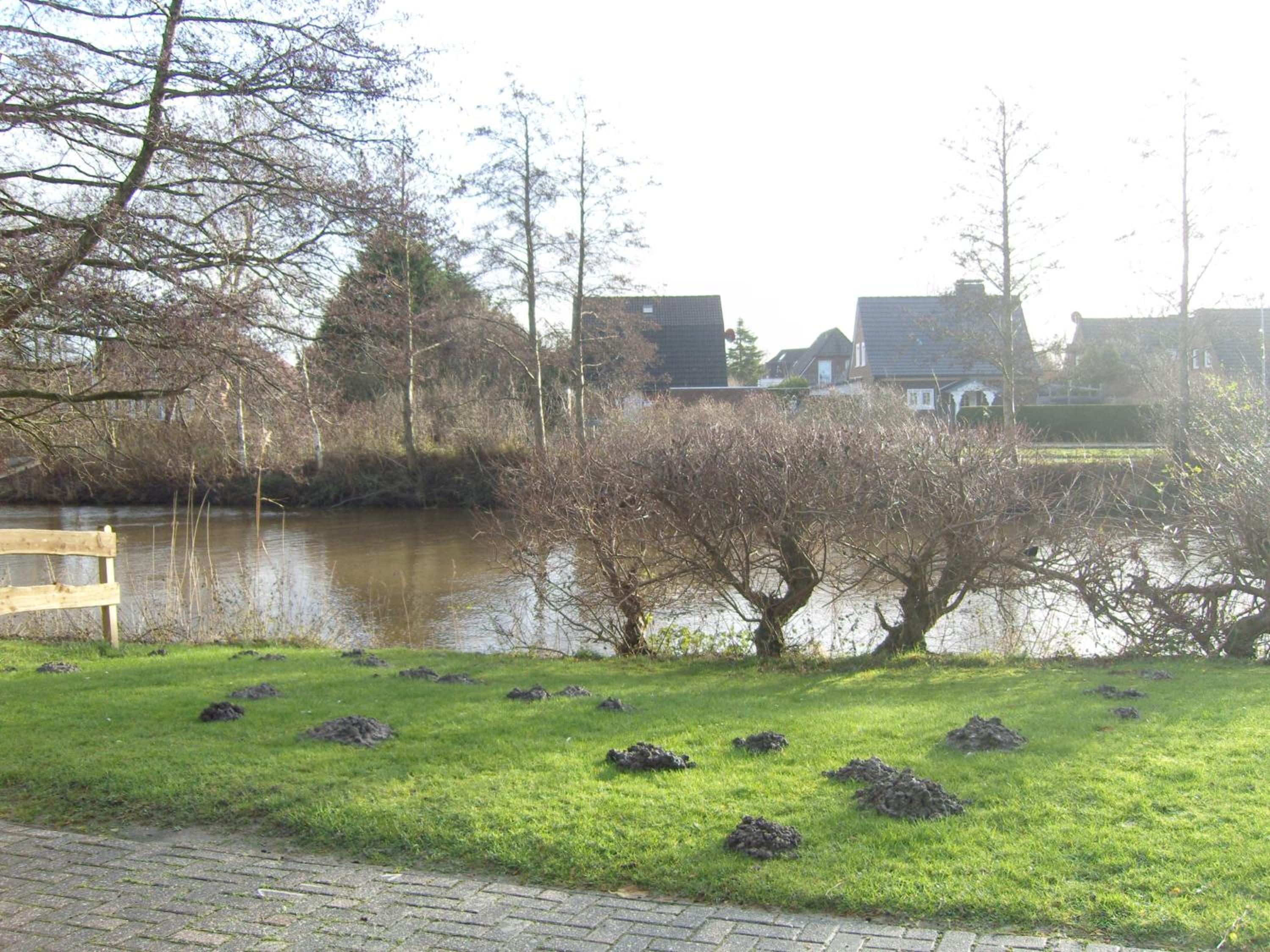 Robbenstube