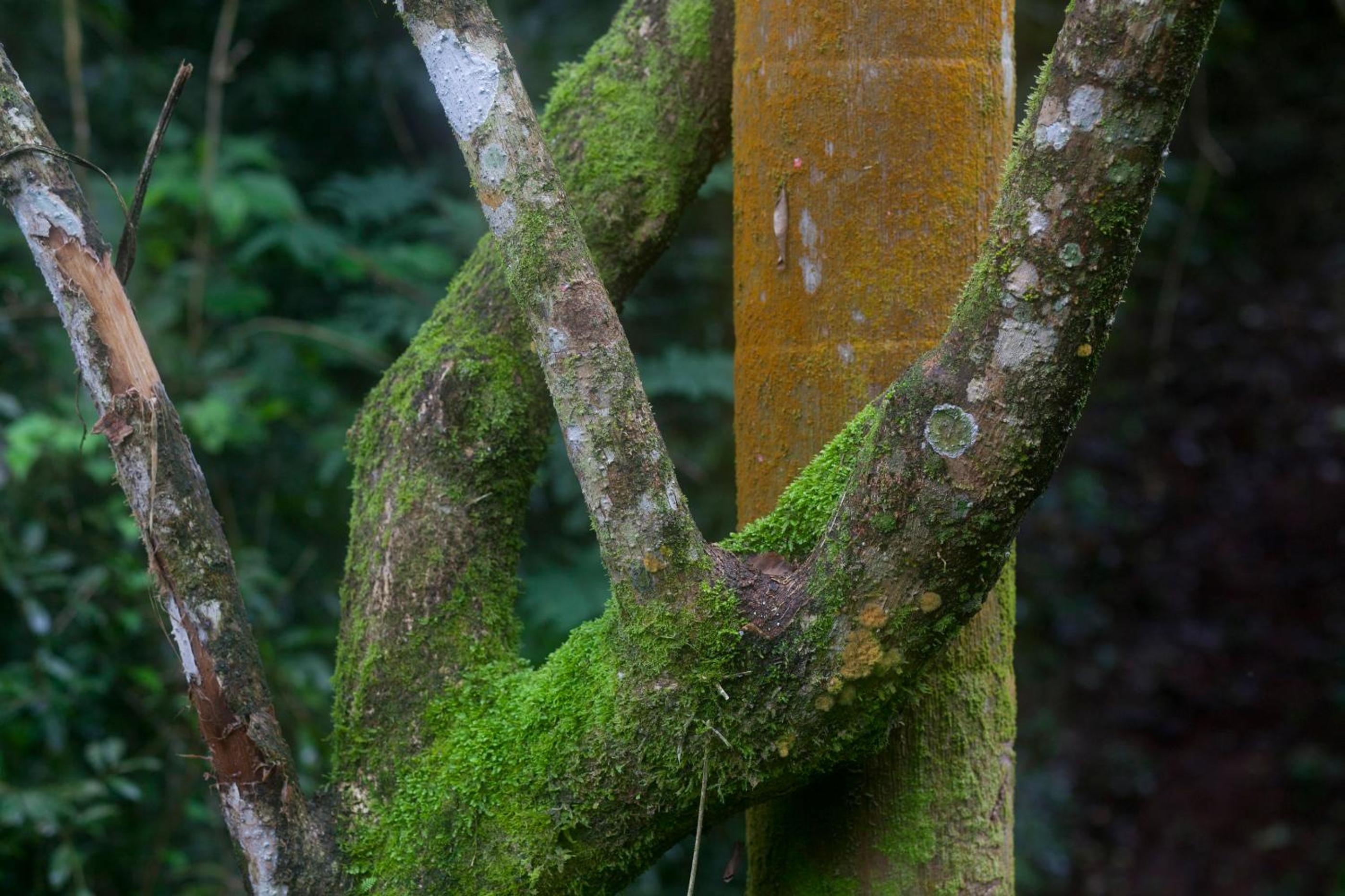 Chacra del Agua Reserva Privada