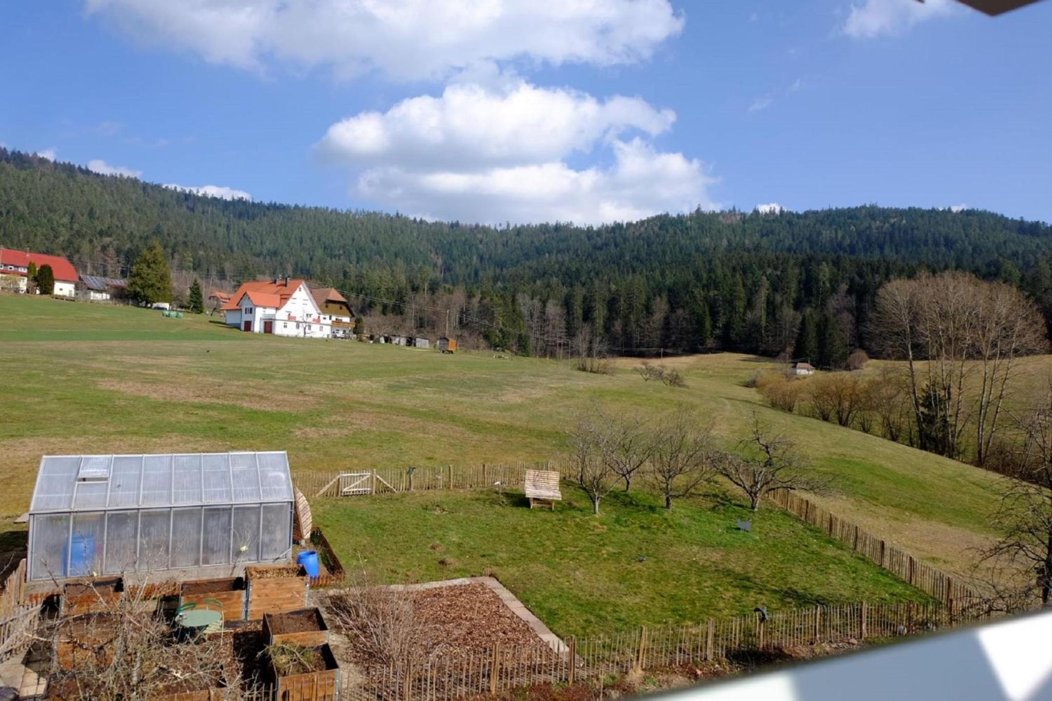 SchwarzWild - Ferienwohnung und Ferienzimmer
