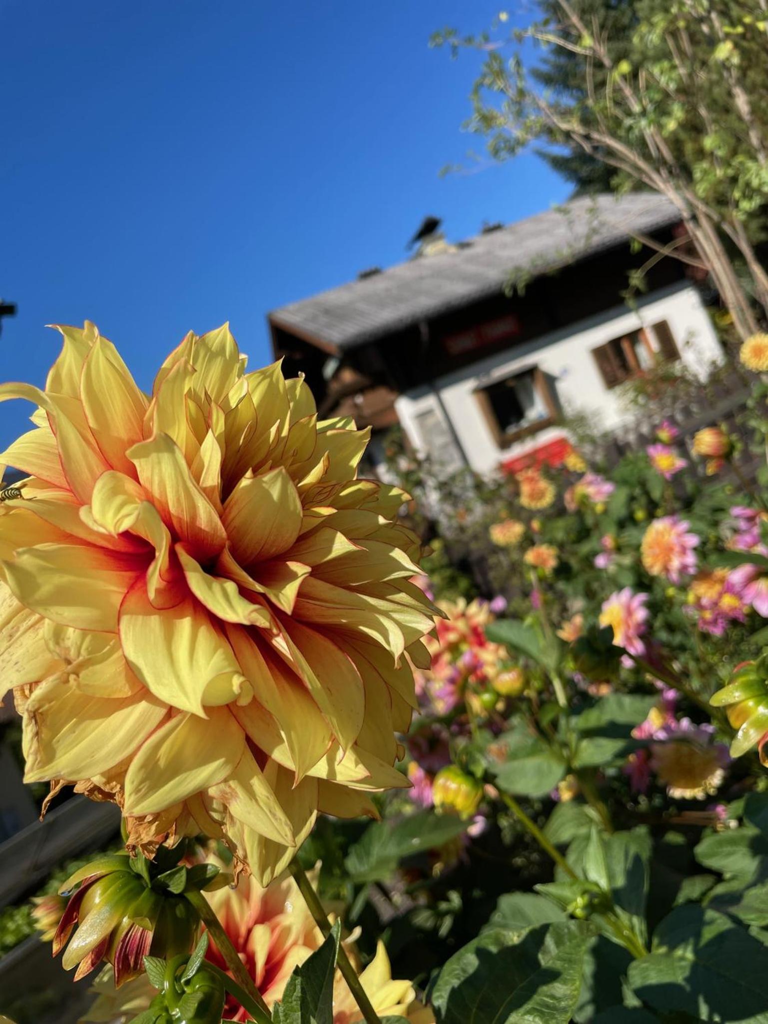 Chalet Franzi - Ruhiges Chalet mit Bergblick, Garten und gratis Eintritt ins Solarbad