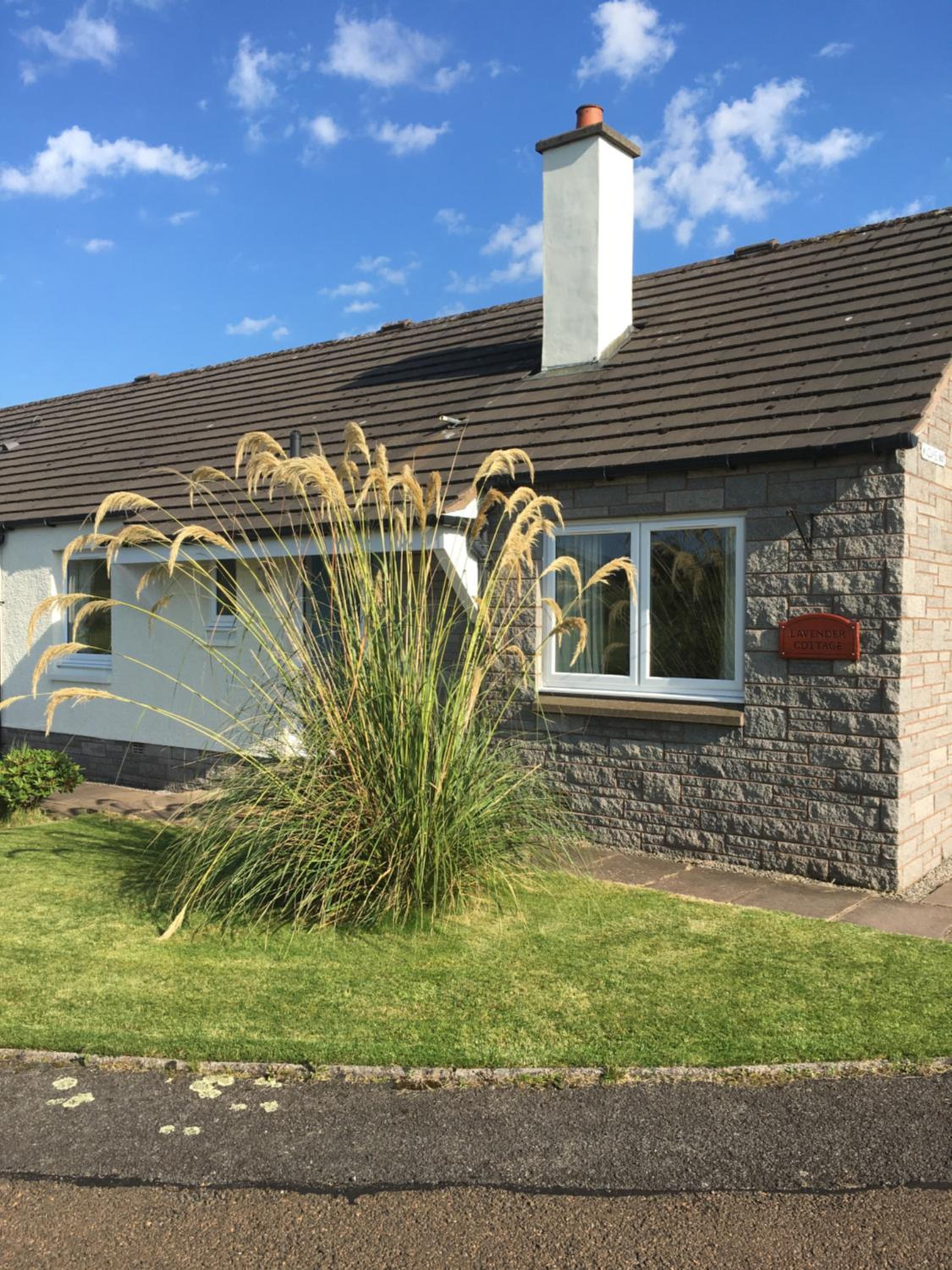 Lavender Cottage with Parking and Beautiful Views Summer Special