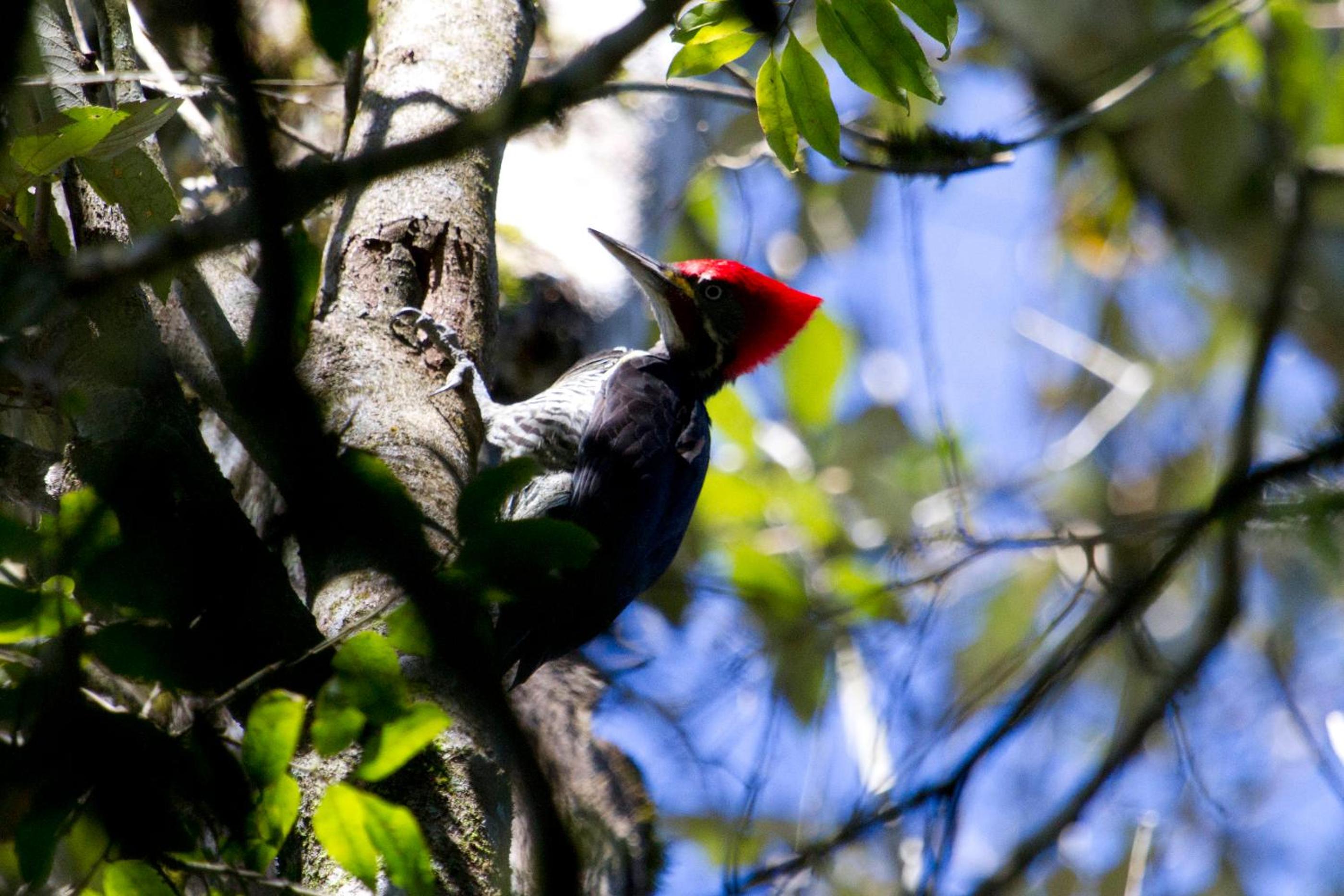 Chacra del Agua Reserva Privada