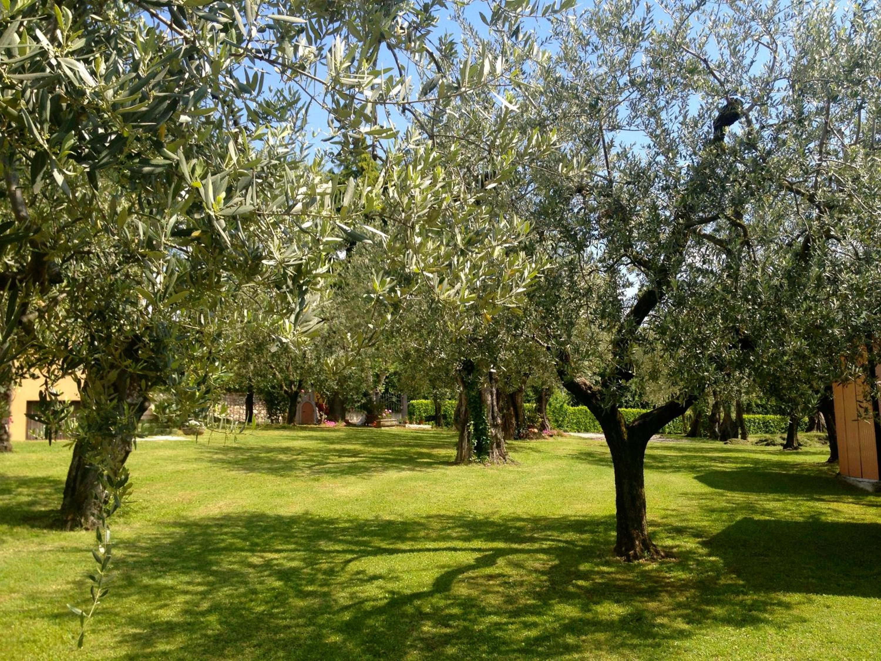 Photo 25