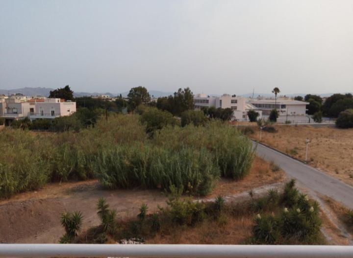 Sofita Di Sofo photo 5