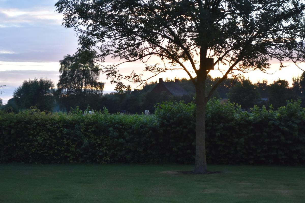 Happy Home-Slapen onder de sterren view 4