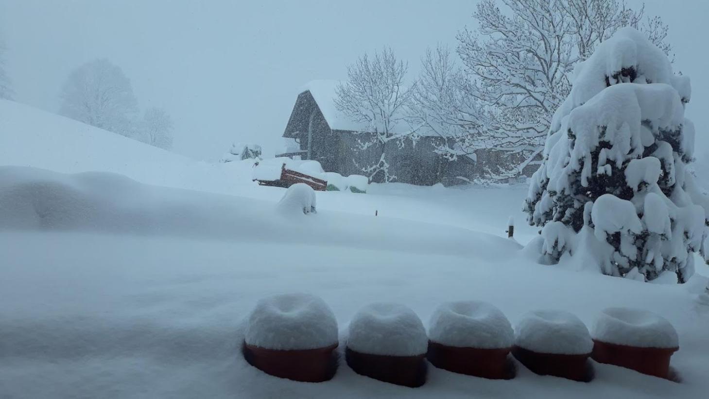 Snow+Surf B&B