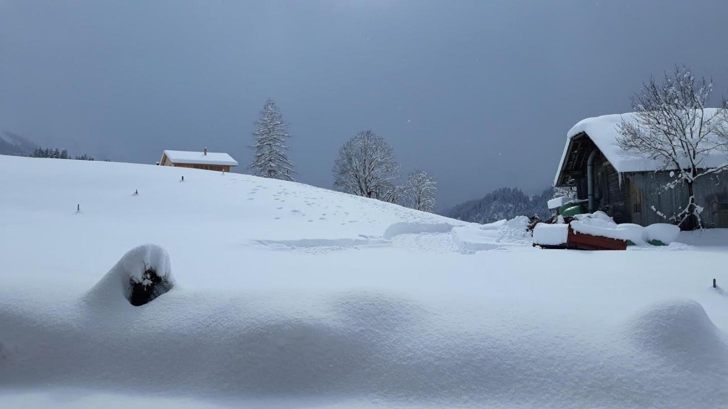 Snow+Surf B&B