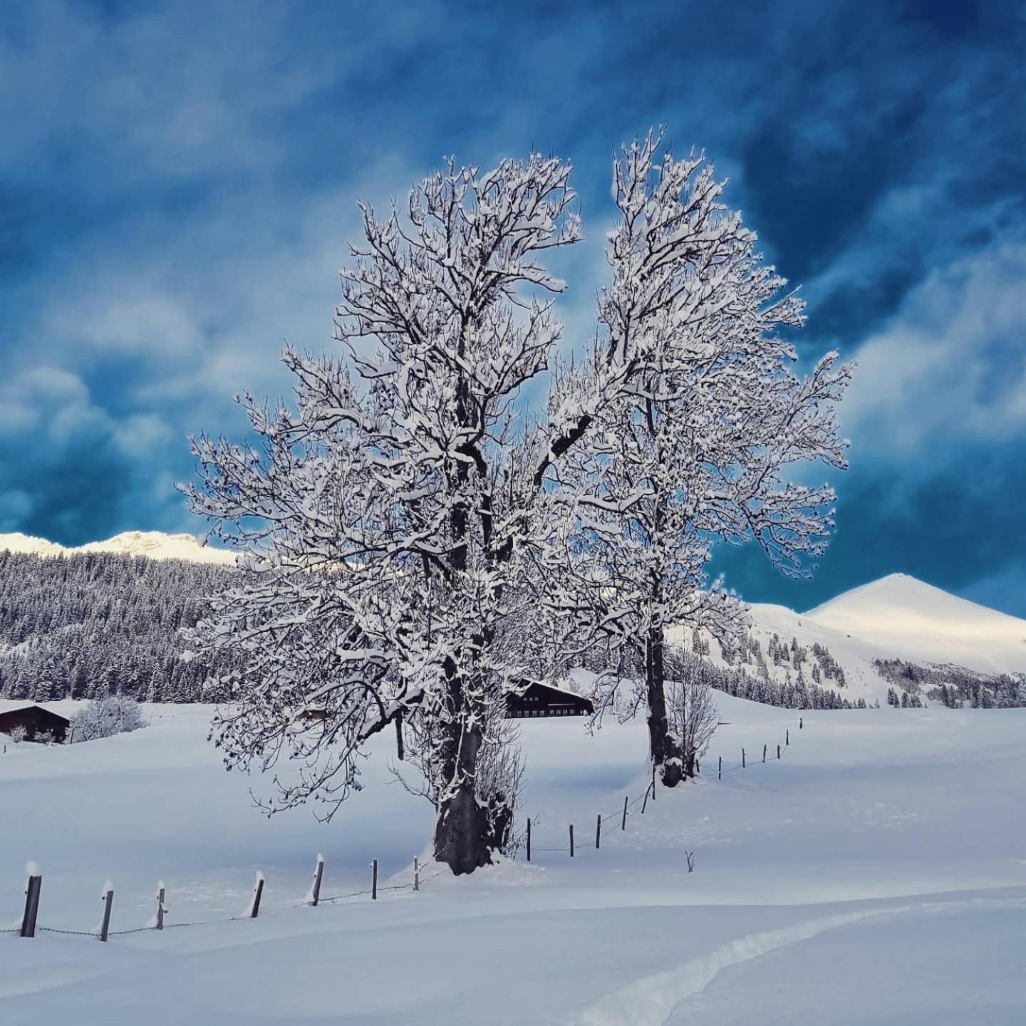 Snow+Surf B&B