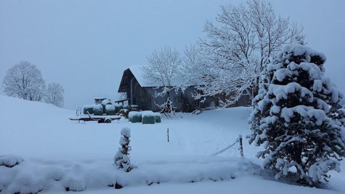 Snow+Surf B&B