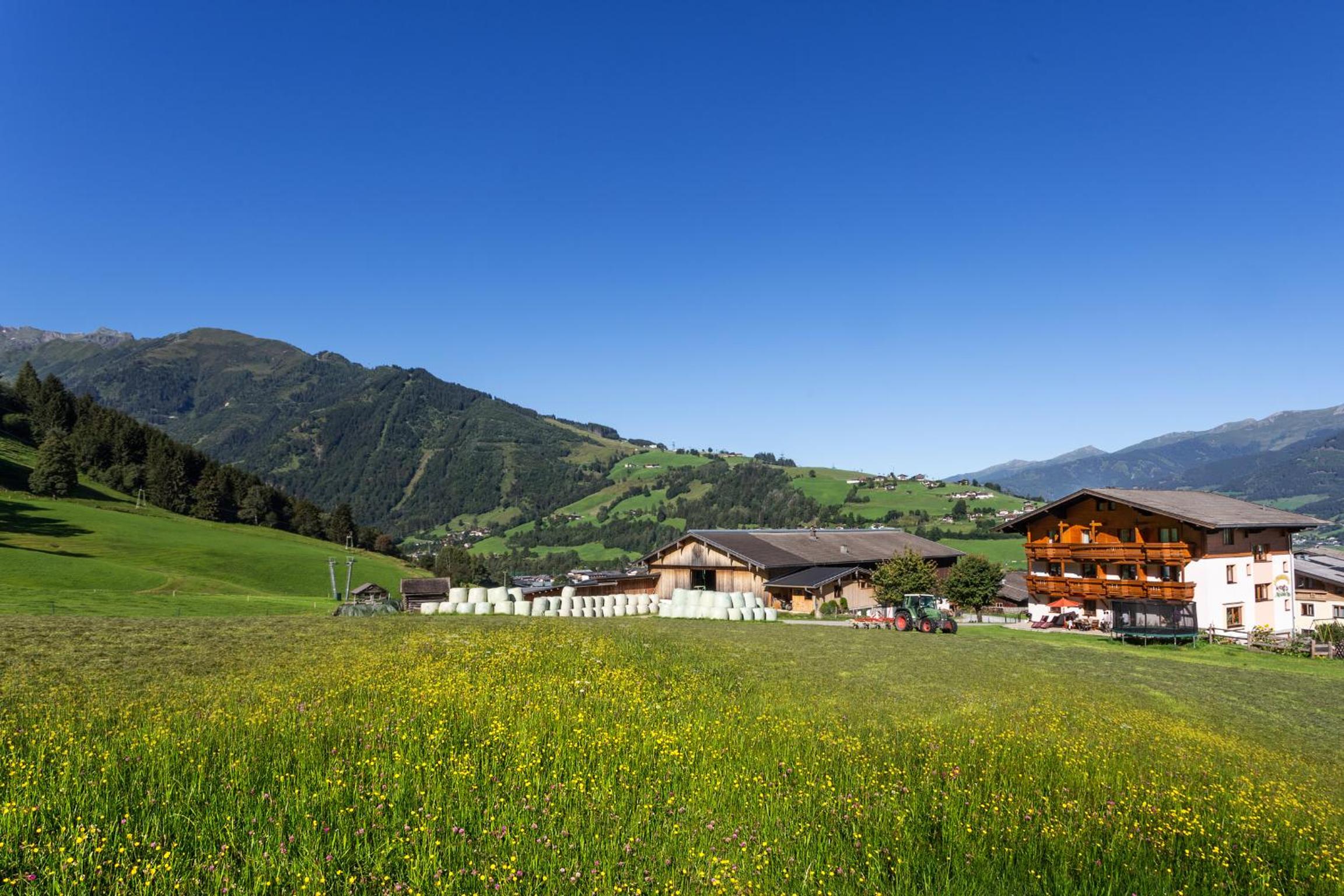 Oberlehenhof
