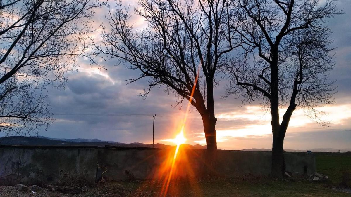 Płonica 1 view 4