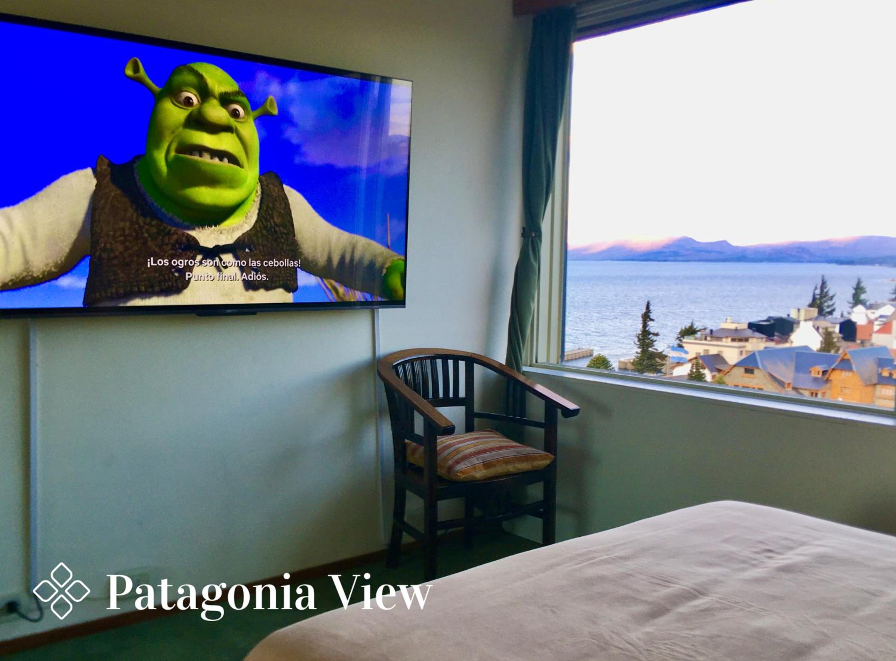 Patagonia View