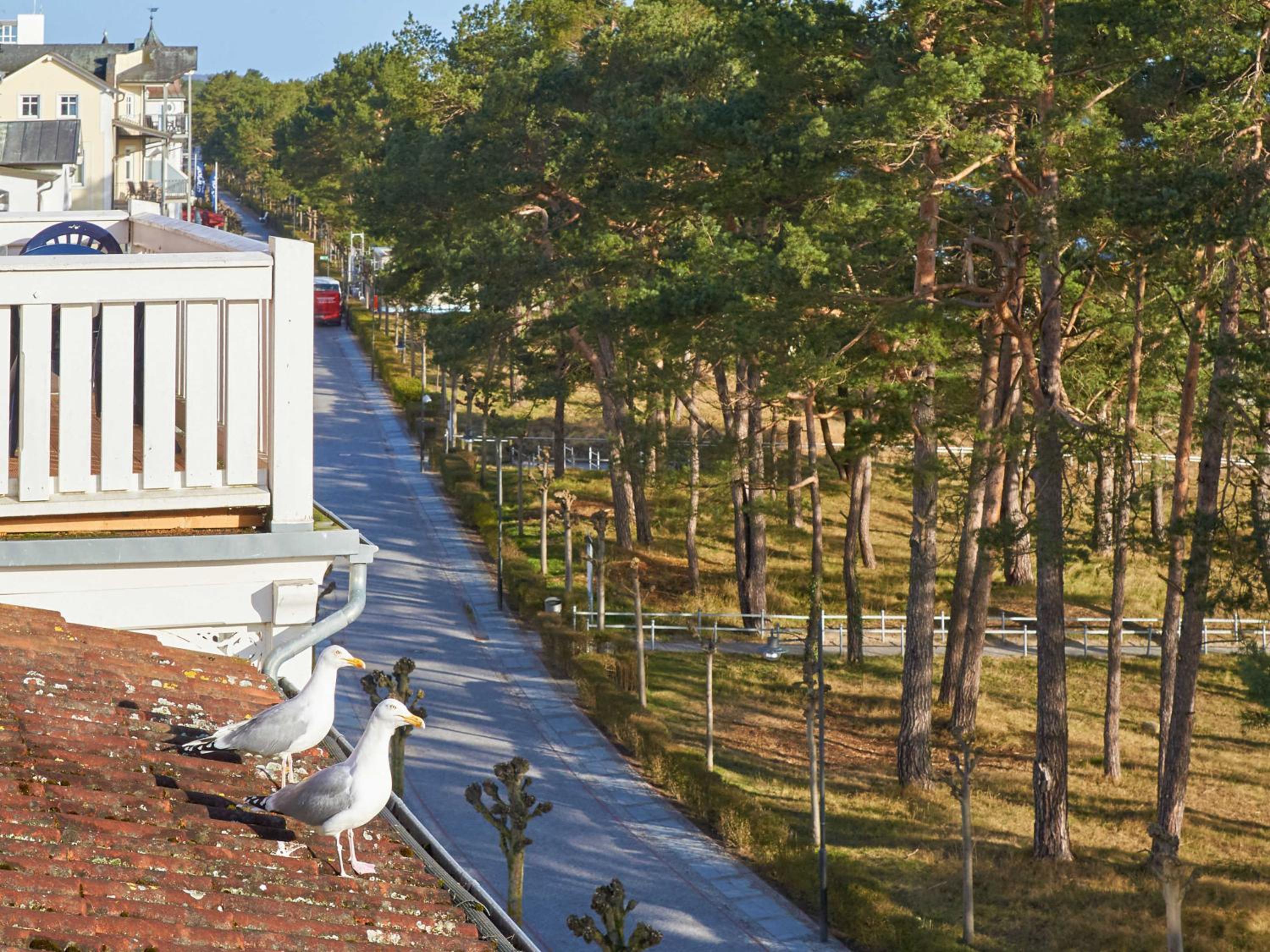 Villa Strandidyll - WG13 mit Meerblick view 5