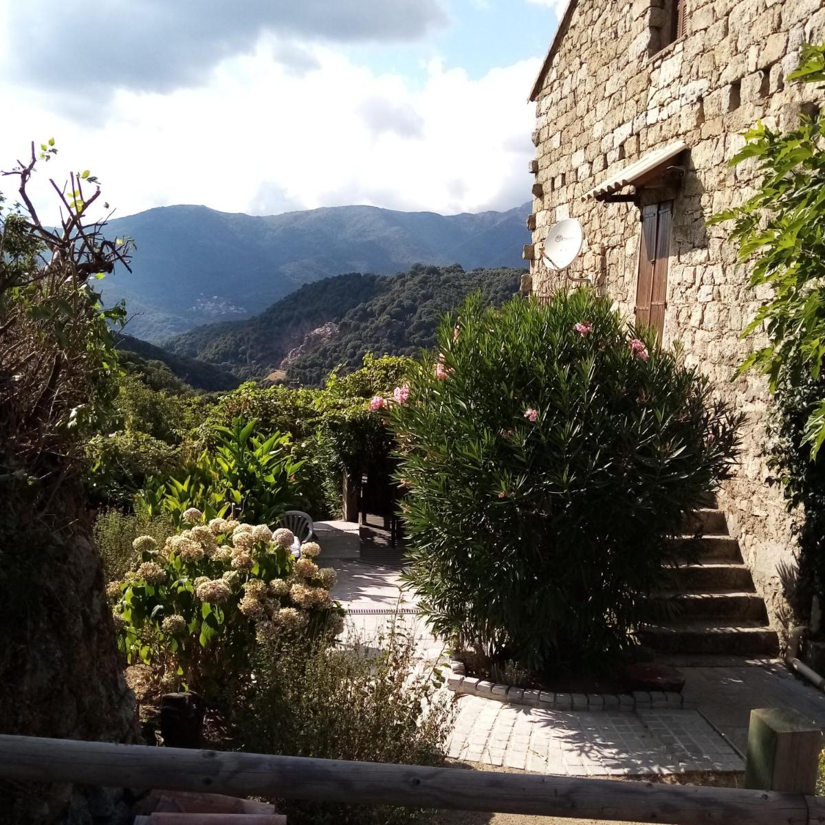 les chalets et gite du haut taravo view 2
