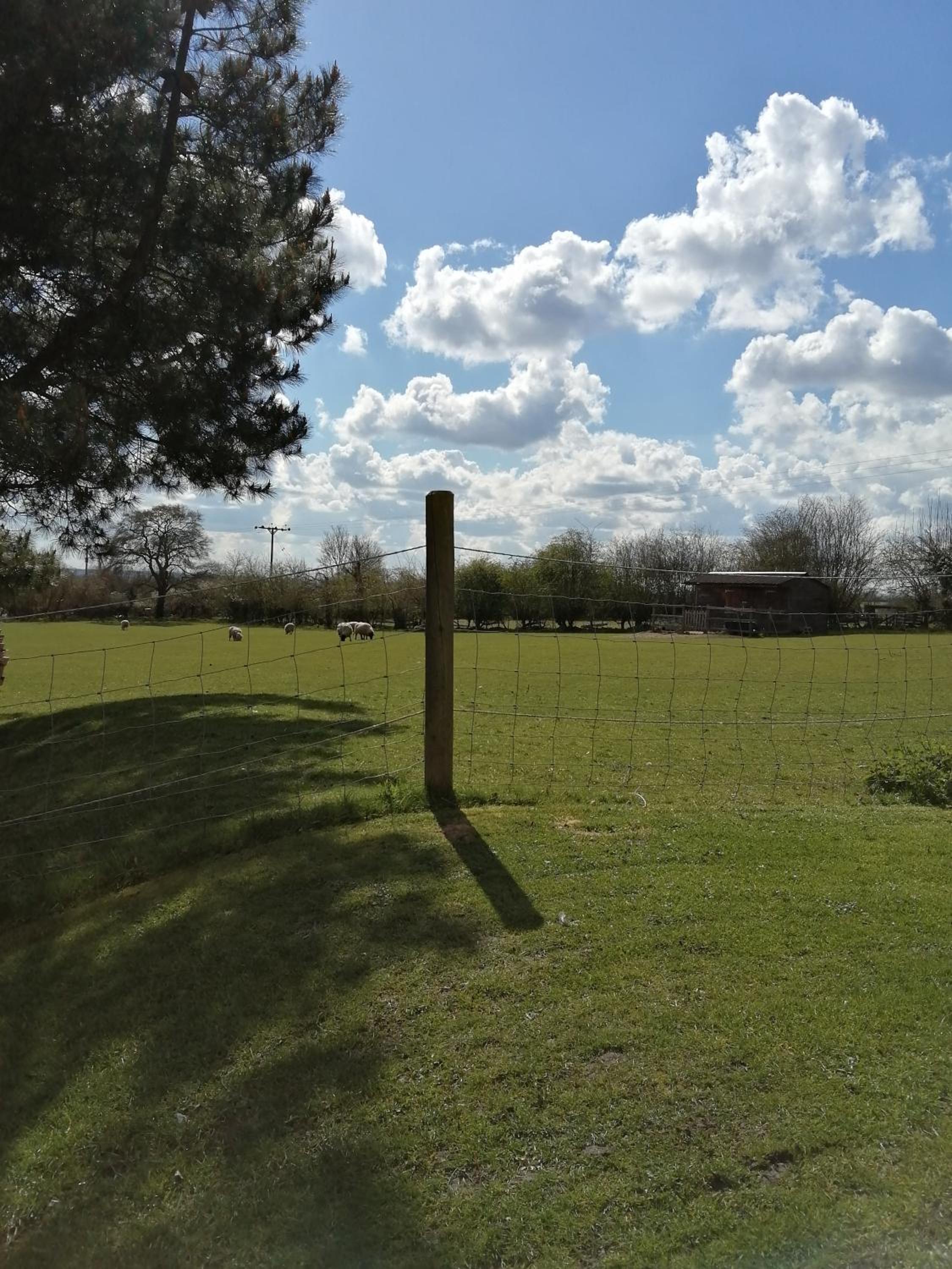 Photo 47