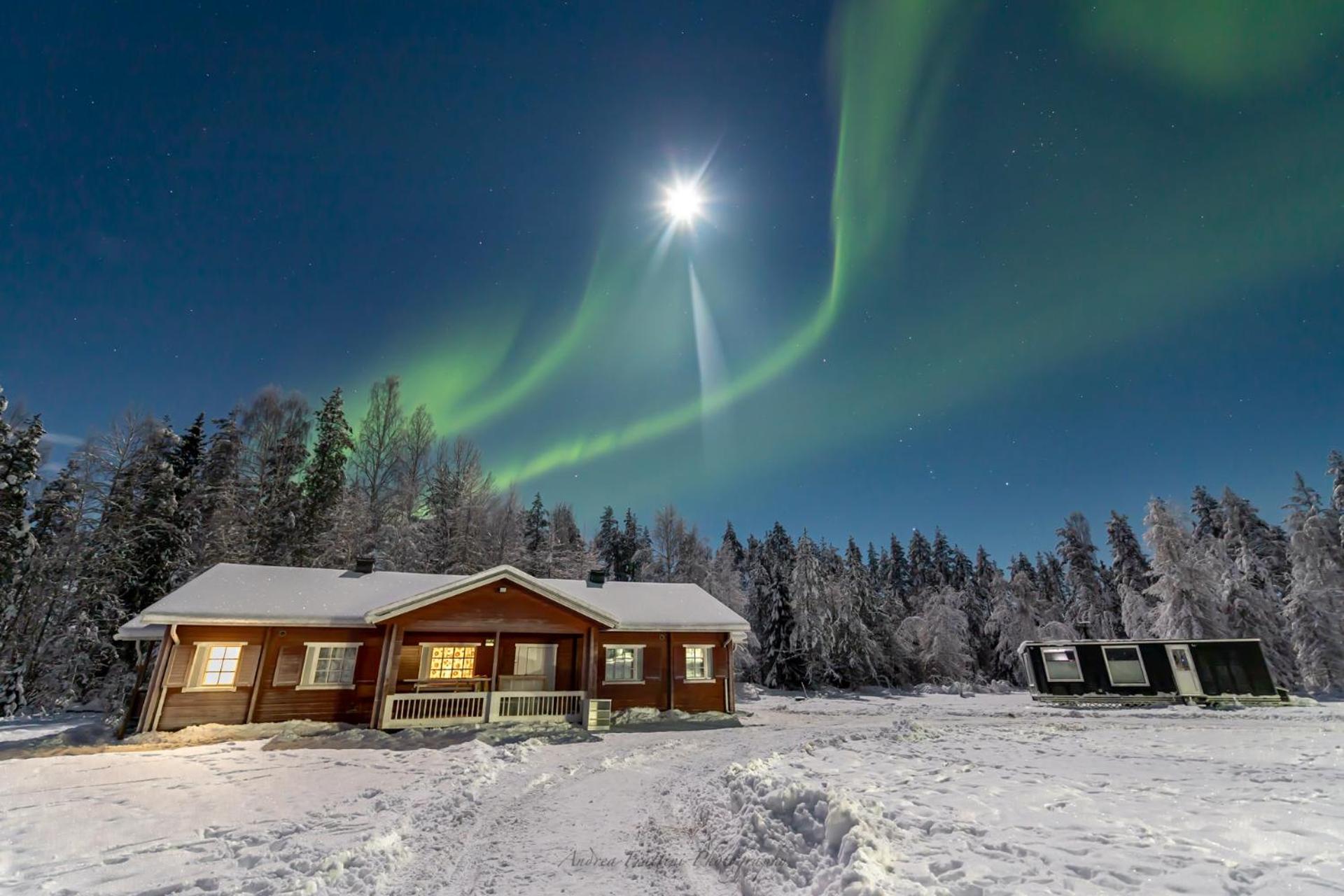 Old Pine Husky Lodge view 3