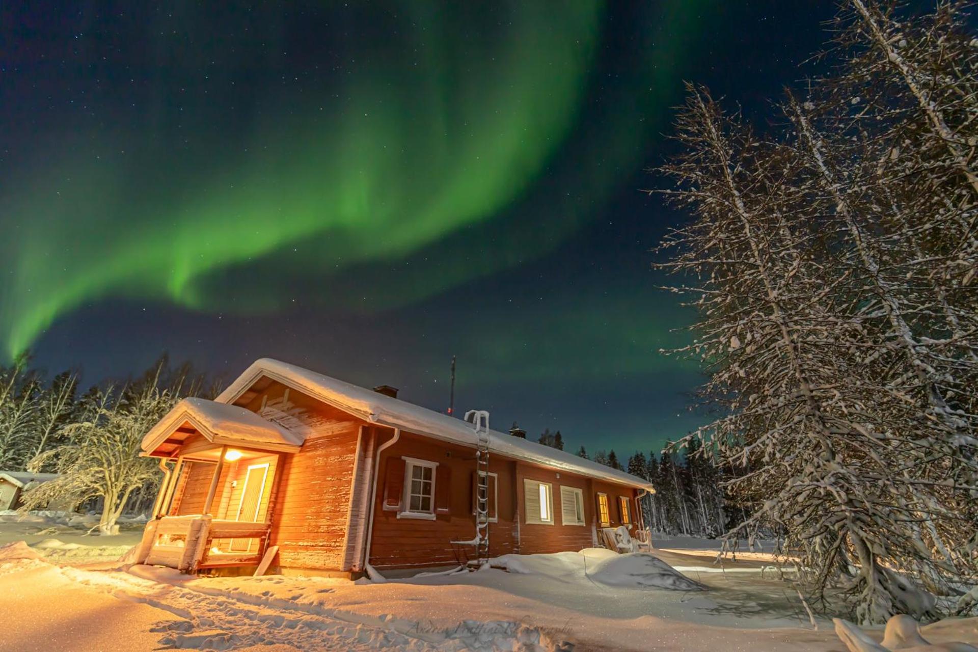 Old Pine Husky Lodge view 2