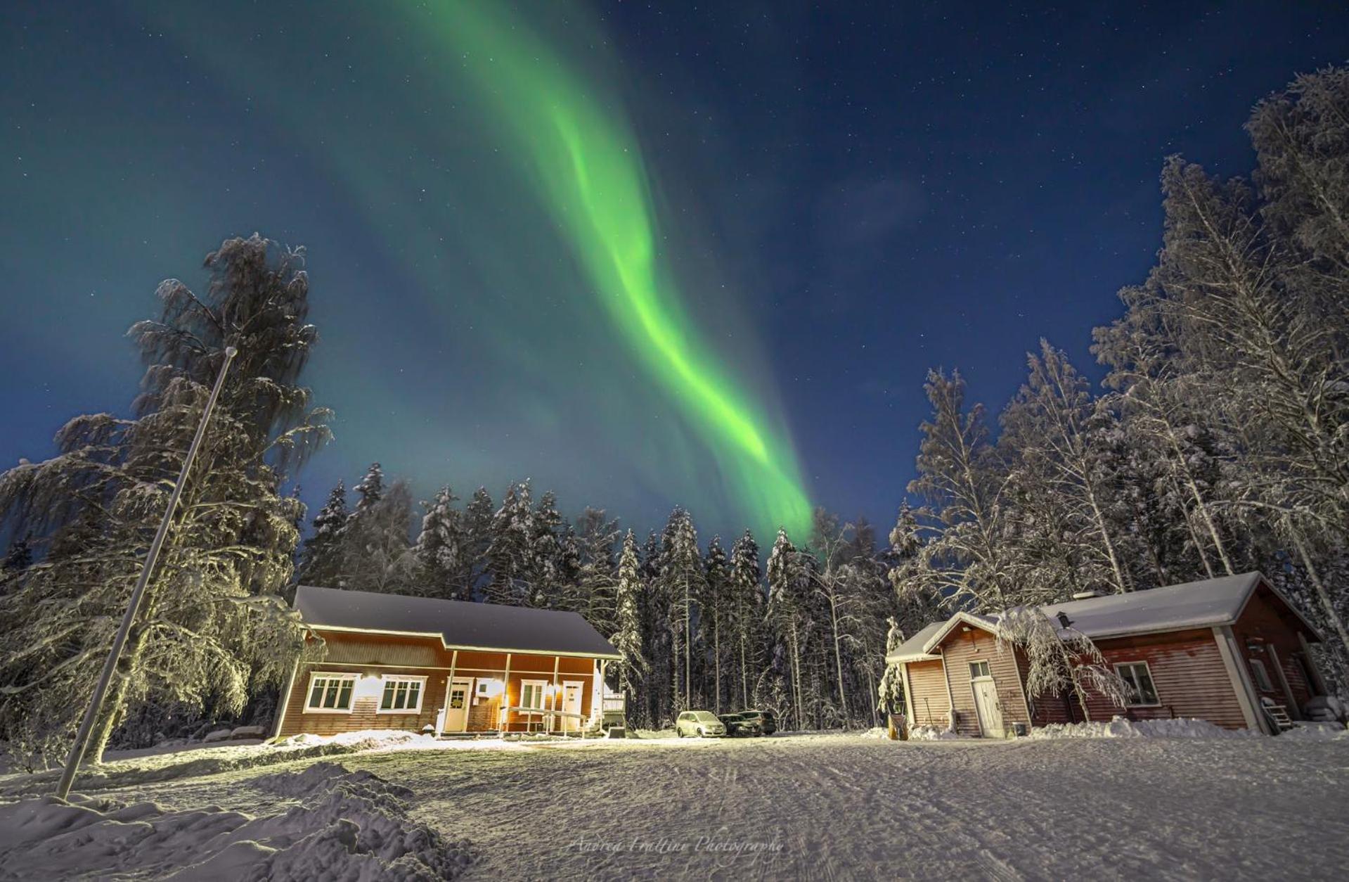 Photo 92