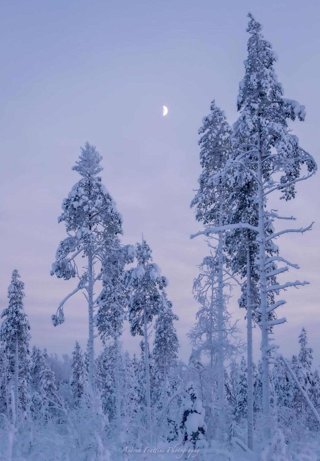 Photo 50