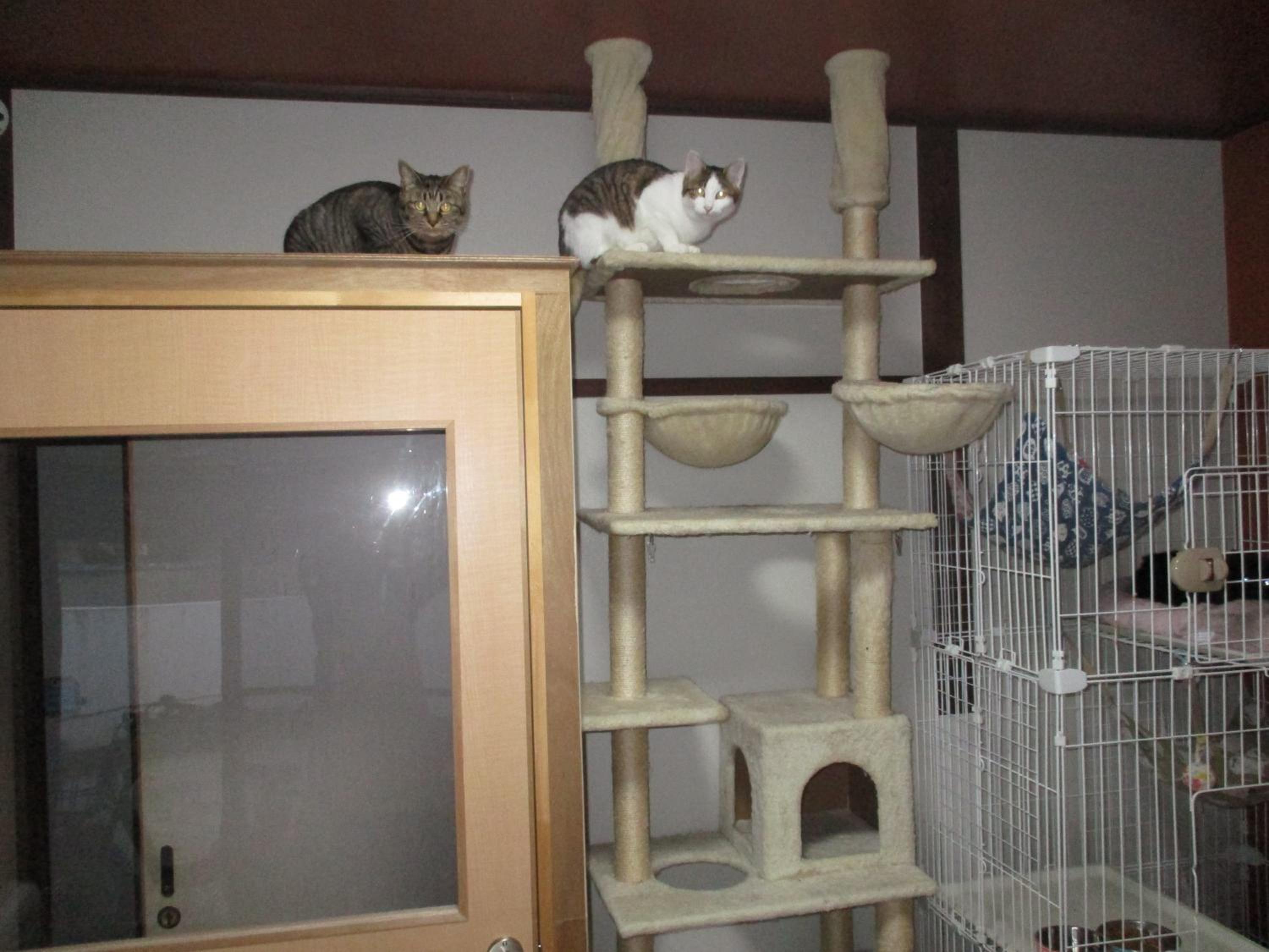 Photo 48