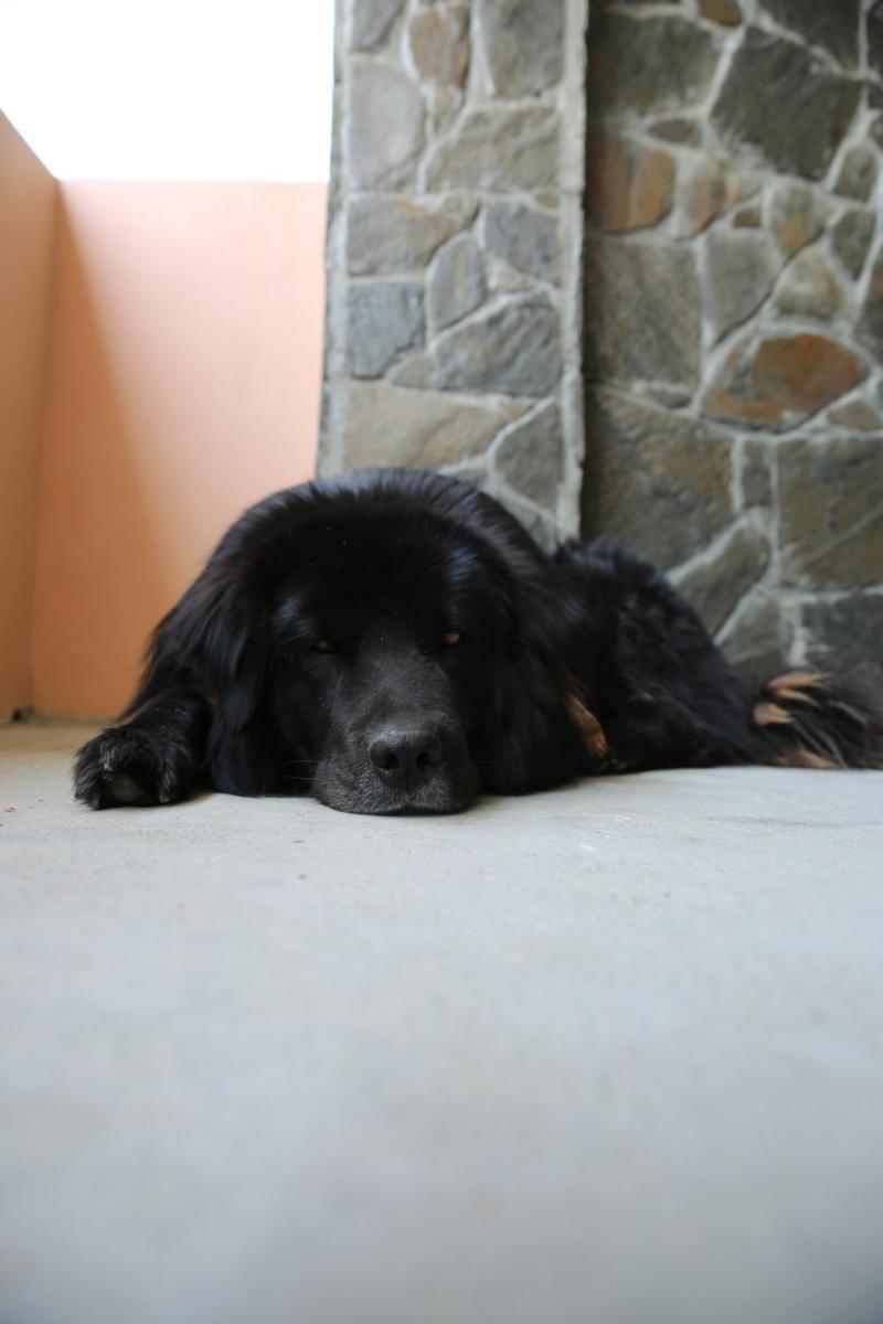 Photo 22