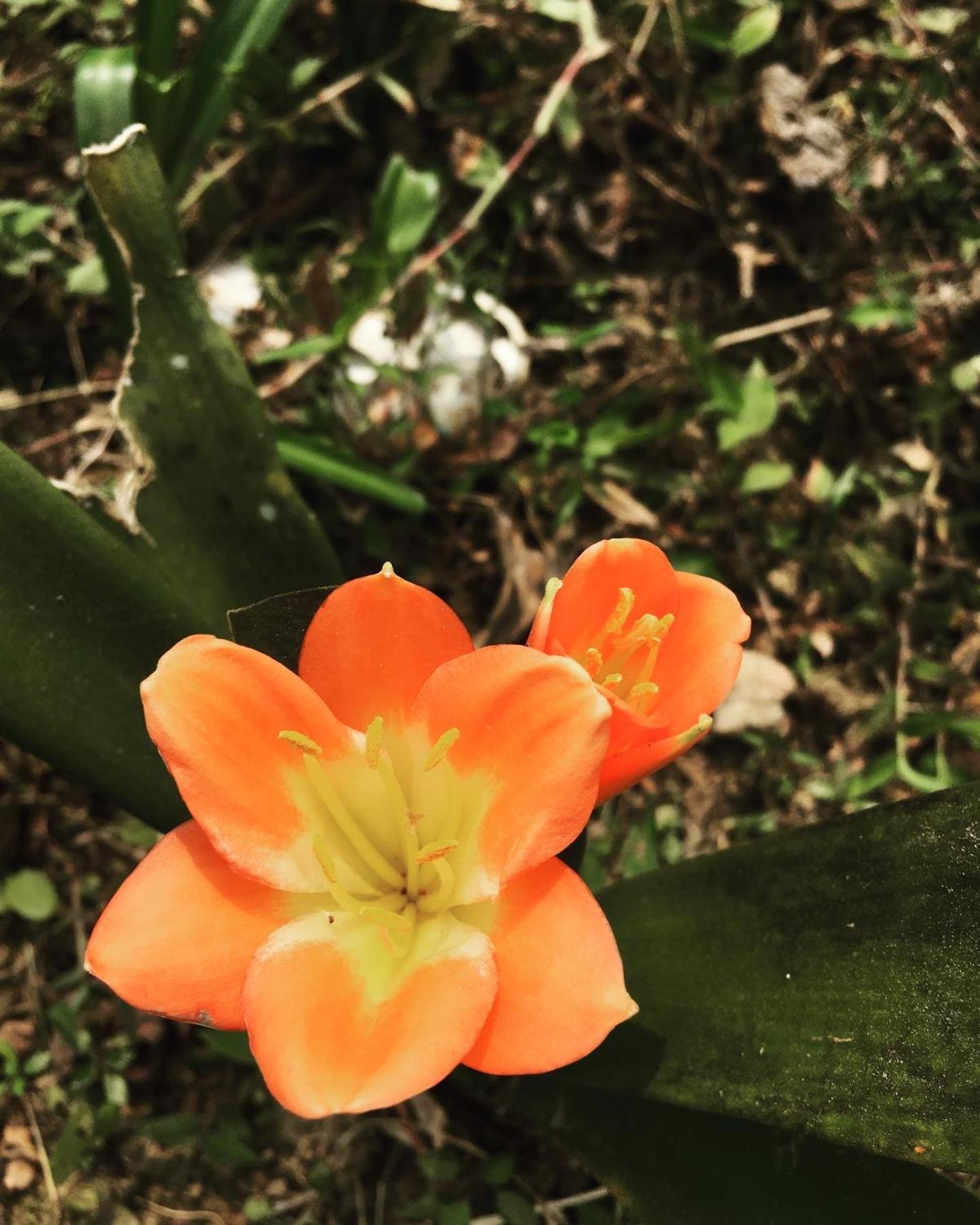 Photo 46