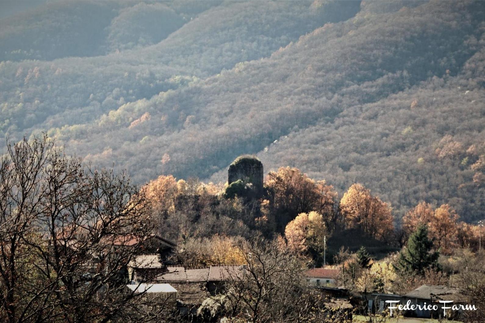 Camping Grondola - FedericoFarm view 3