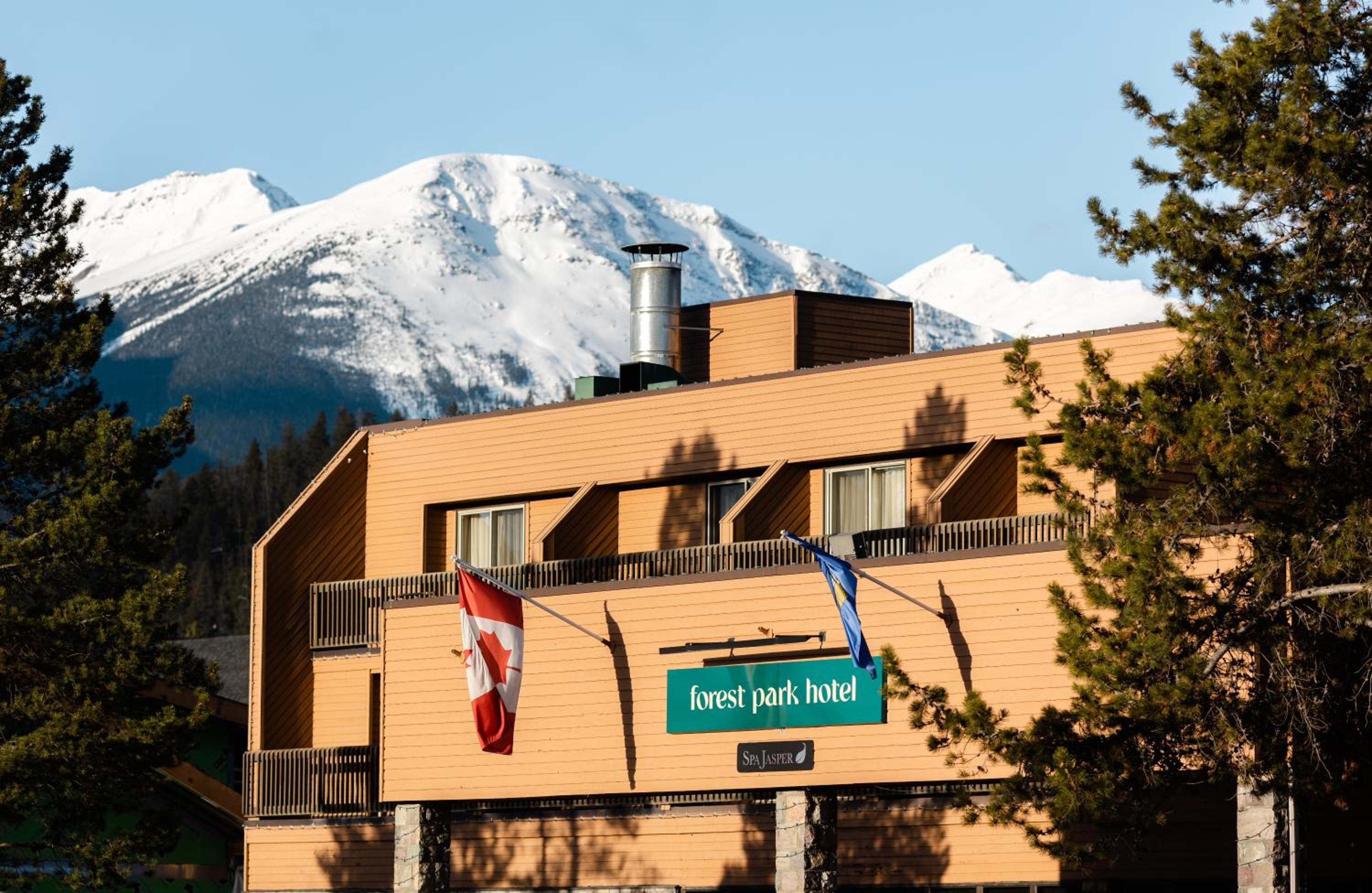 Jasper Vacations - Forest Park Hotel - Property Image 12