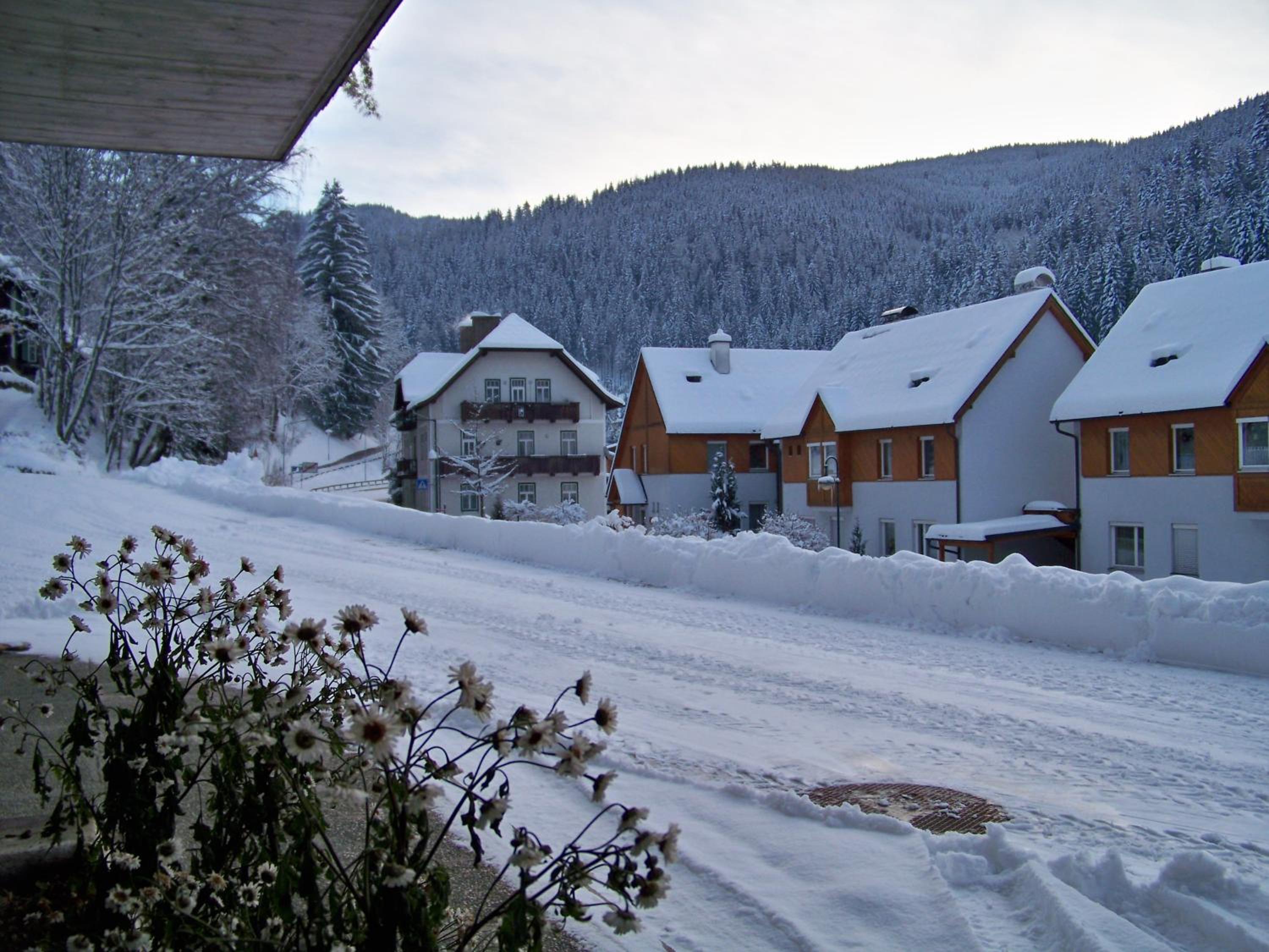 Alpenpension Gasthof