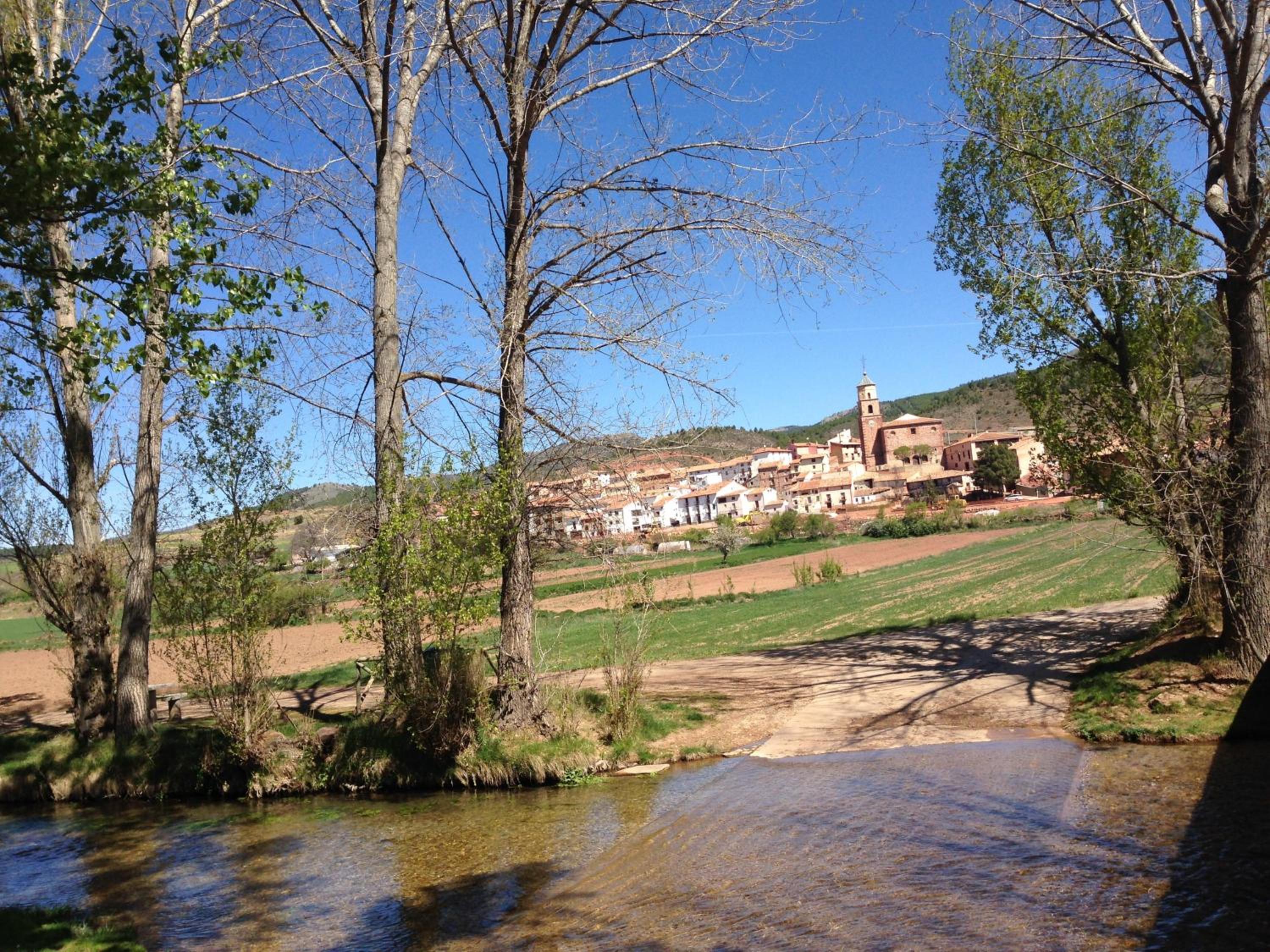 Photo 20