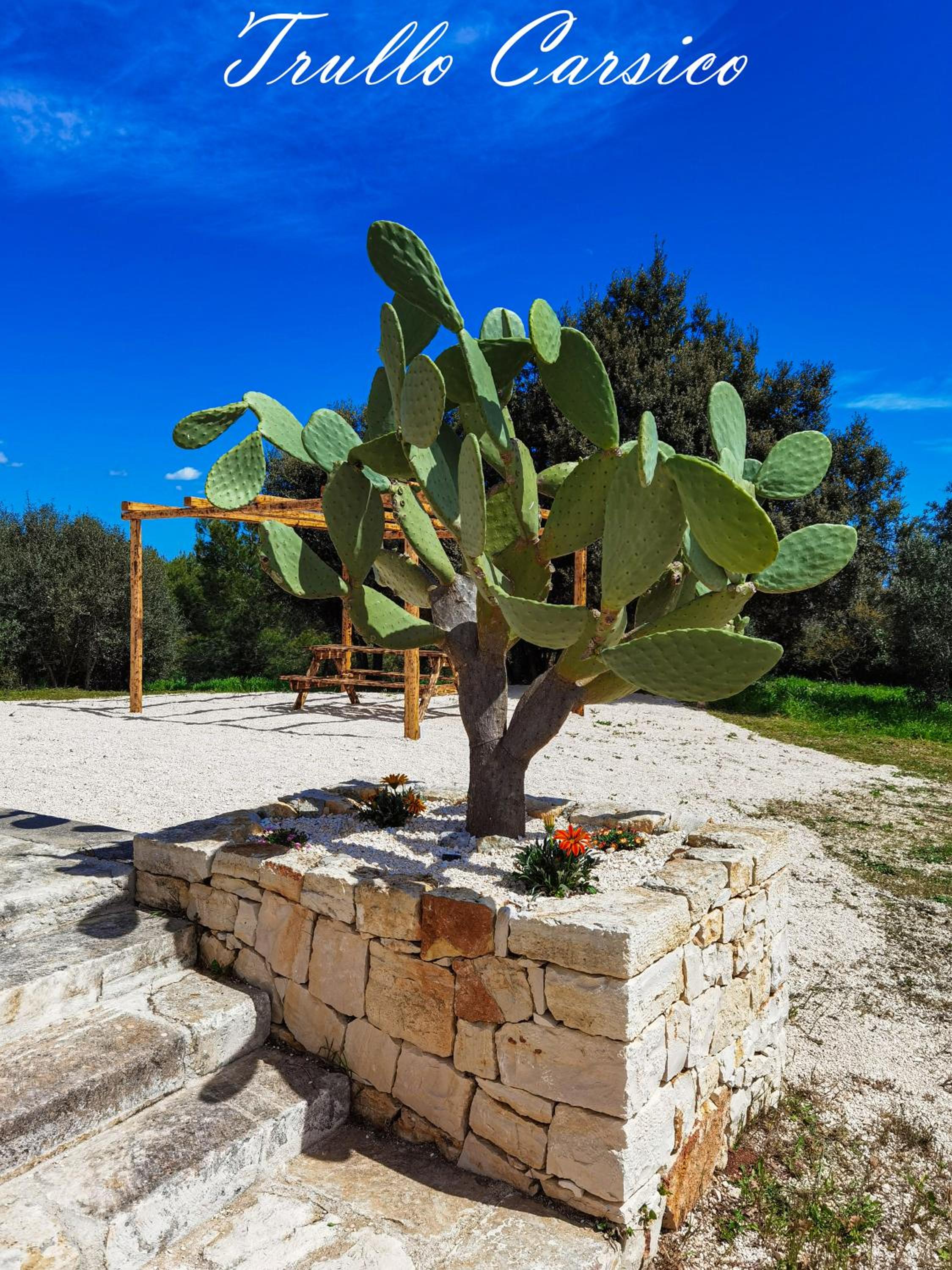 Trullo Carsico by Itriahomes view 3