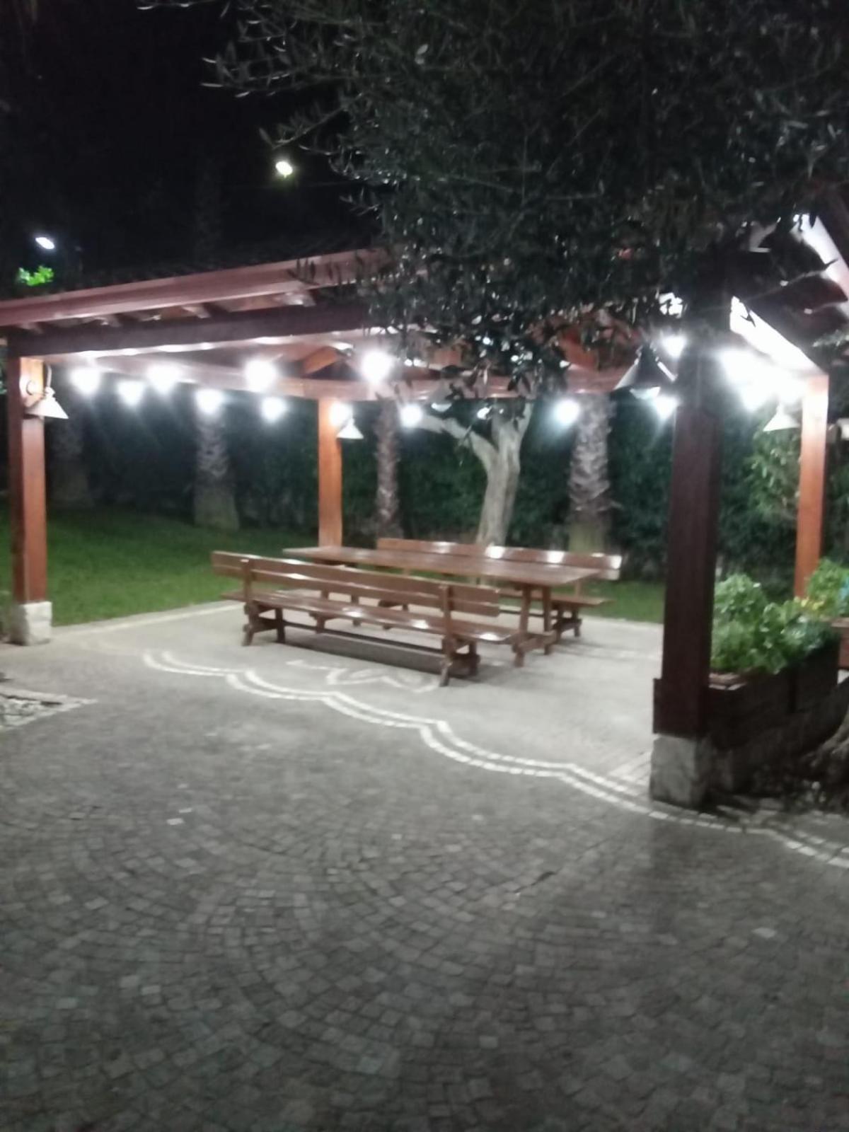 Photo 19