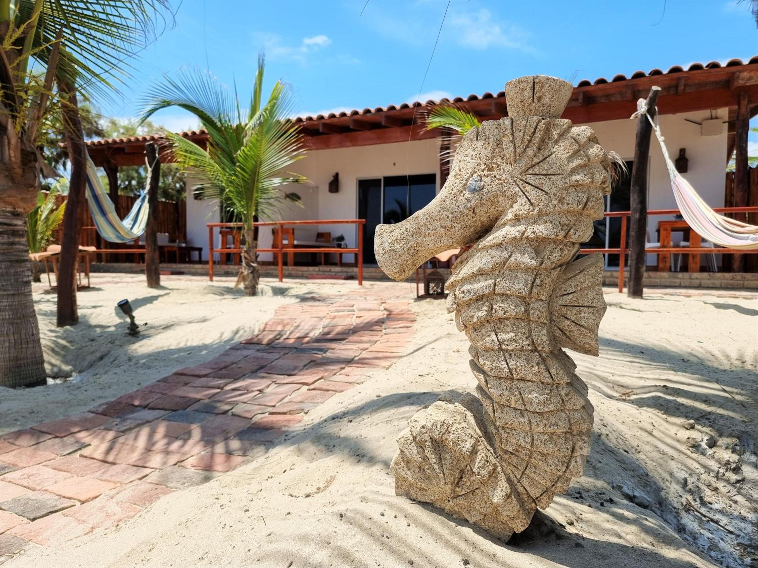 Hotel Punta del Norte Bungalows